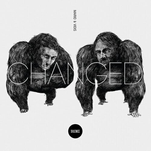 Mario, Vidis - Kashyyyk