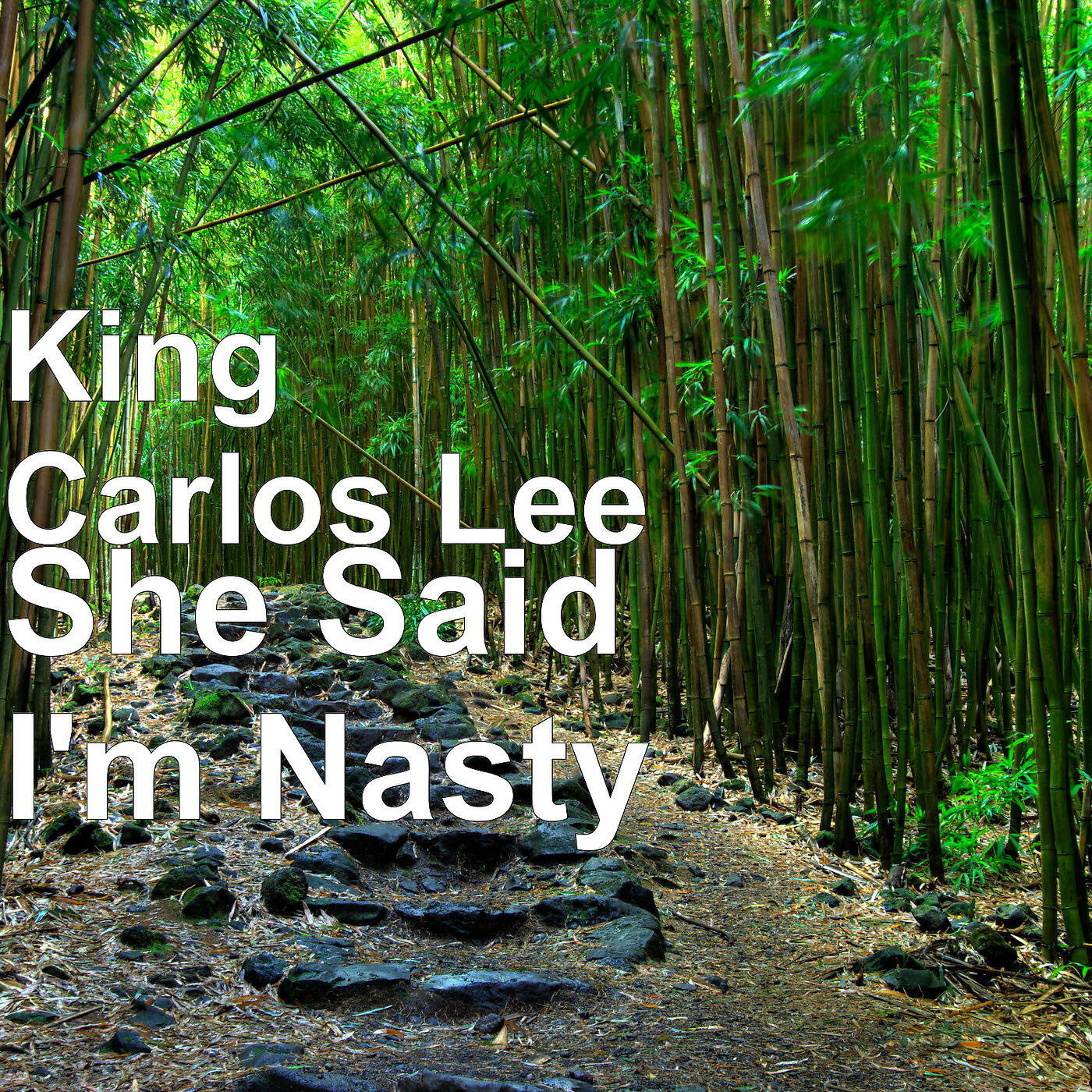 King Carlos Lee - She Said I'm Nasty