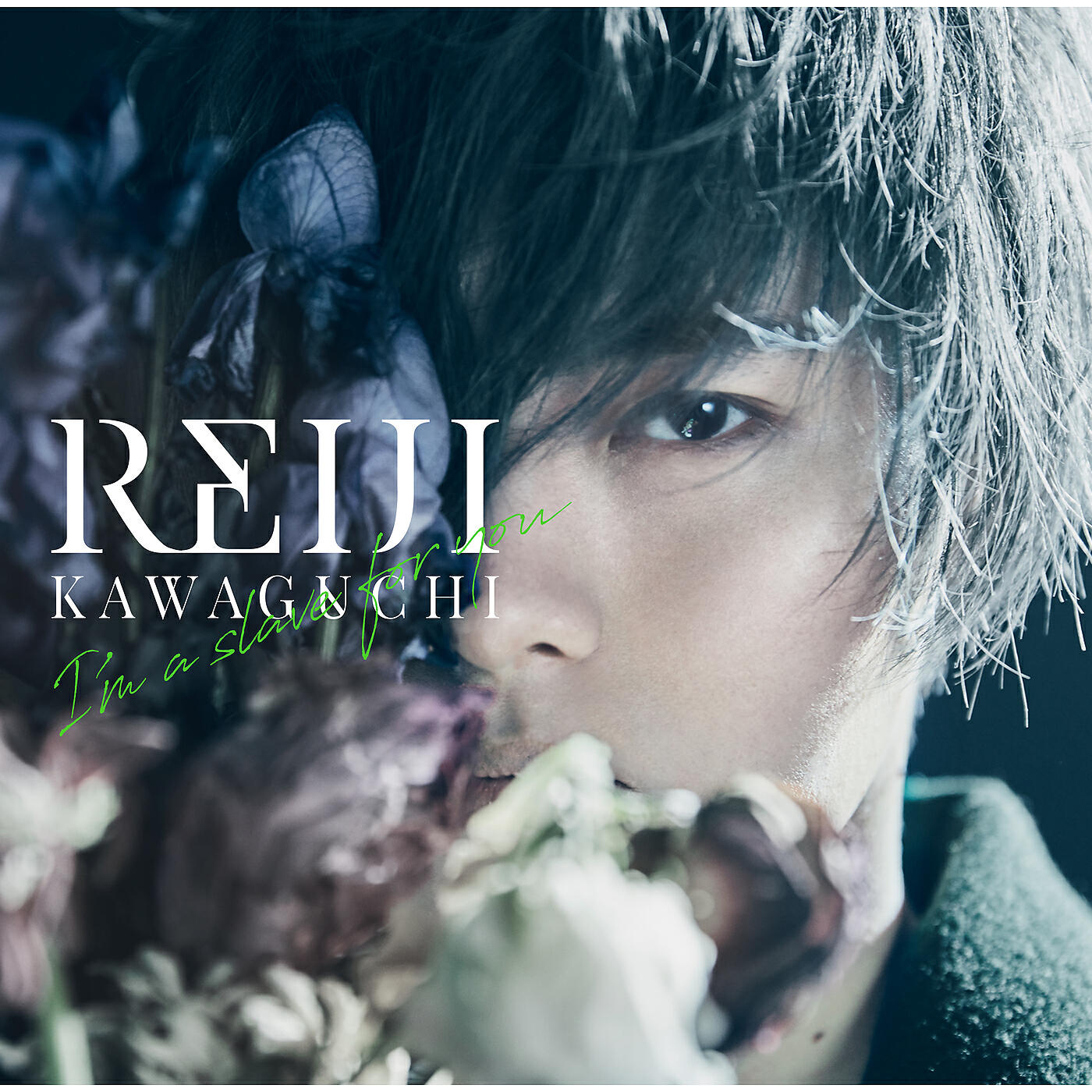 Reiji Kawaguchi - STOP