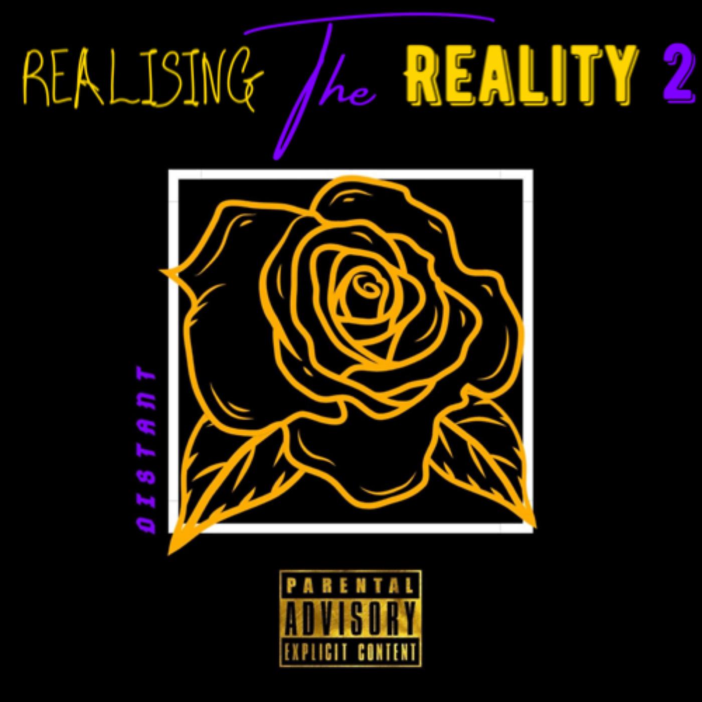 Постер альбома Realising the Reality 2
