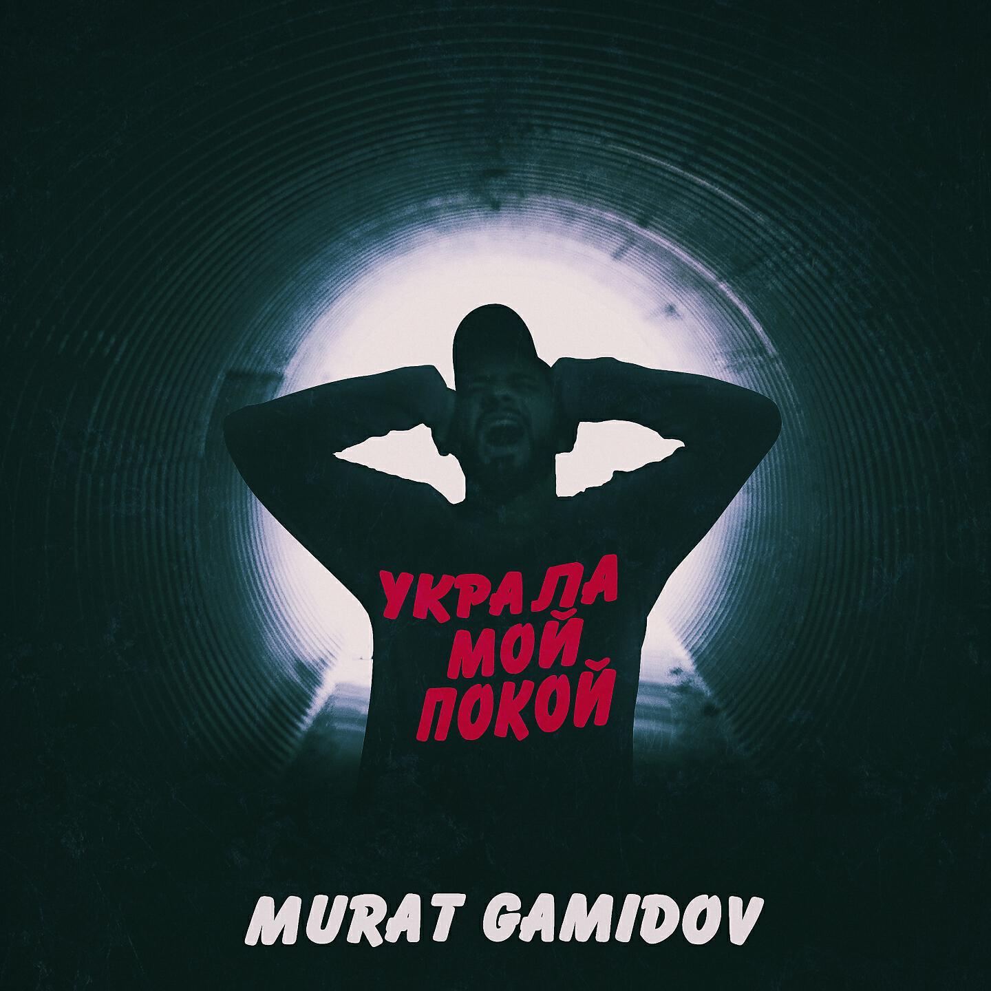 Murat Gamidov - Украла мой покой