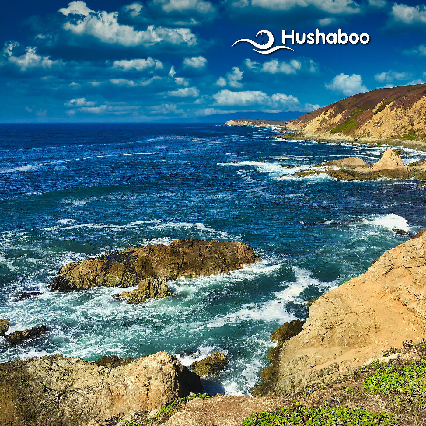 Hushaboo - Bodega Bay Trailhead Warm Ocean Waves