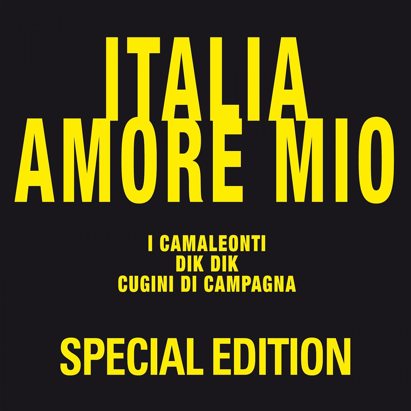 Постер альбома Italia amore mio