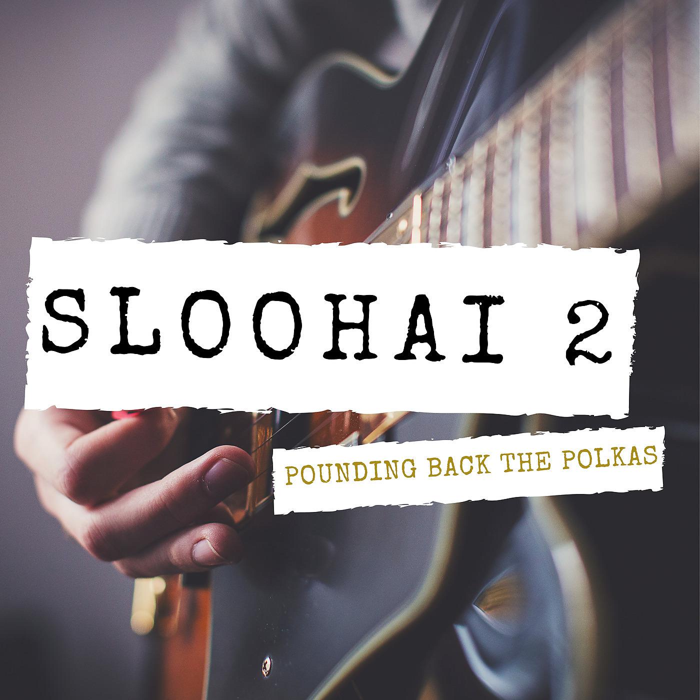 Постер альбома Sloohai 2 Pounding Back the Polkas