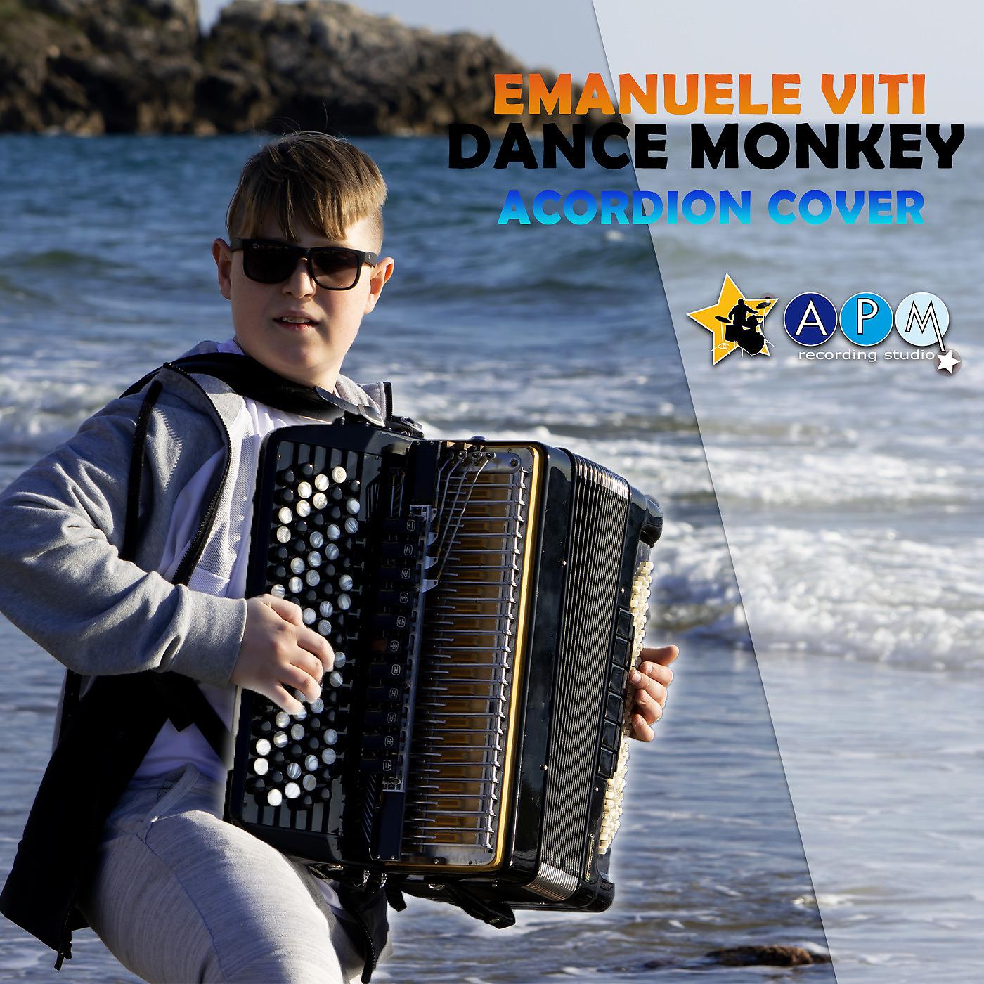 Постер альбома Dance Monkey (Accordion Cover)