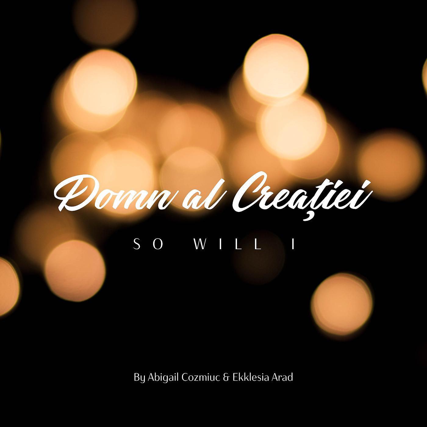Постер альбома Domn Al Creației (So Will I)