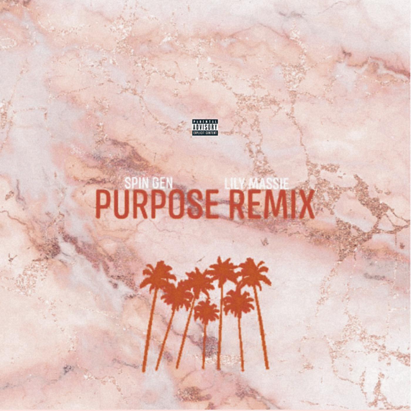 Постер альбома Purpose (Remix)