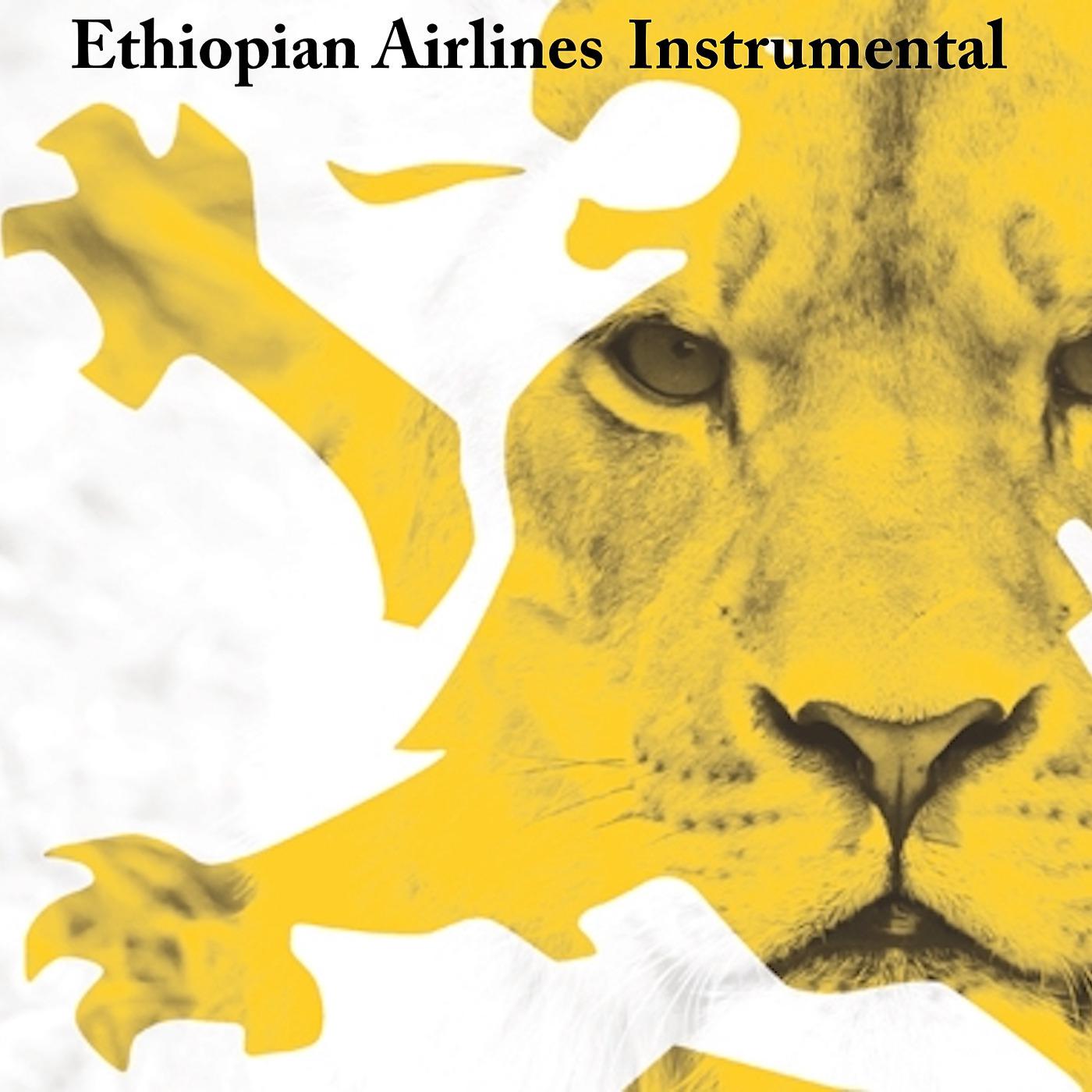 Постер альбома Ethiopian Airlines (Instrumental)