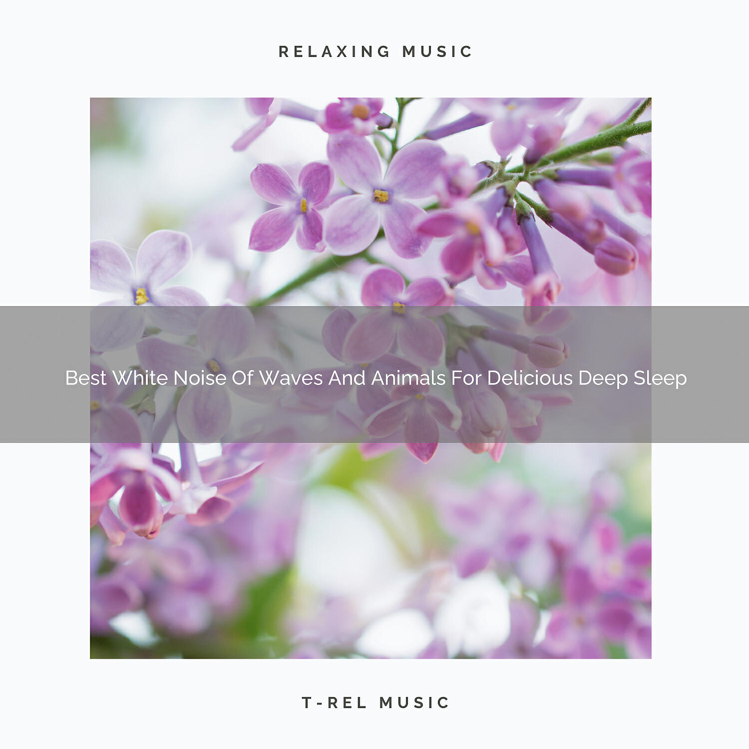 White Noise Spa - Beautiful Noises Of Wind And Mother Earth For Delicious Deep Sleep