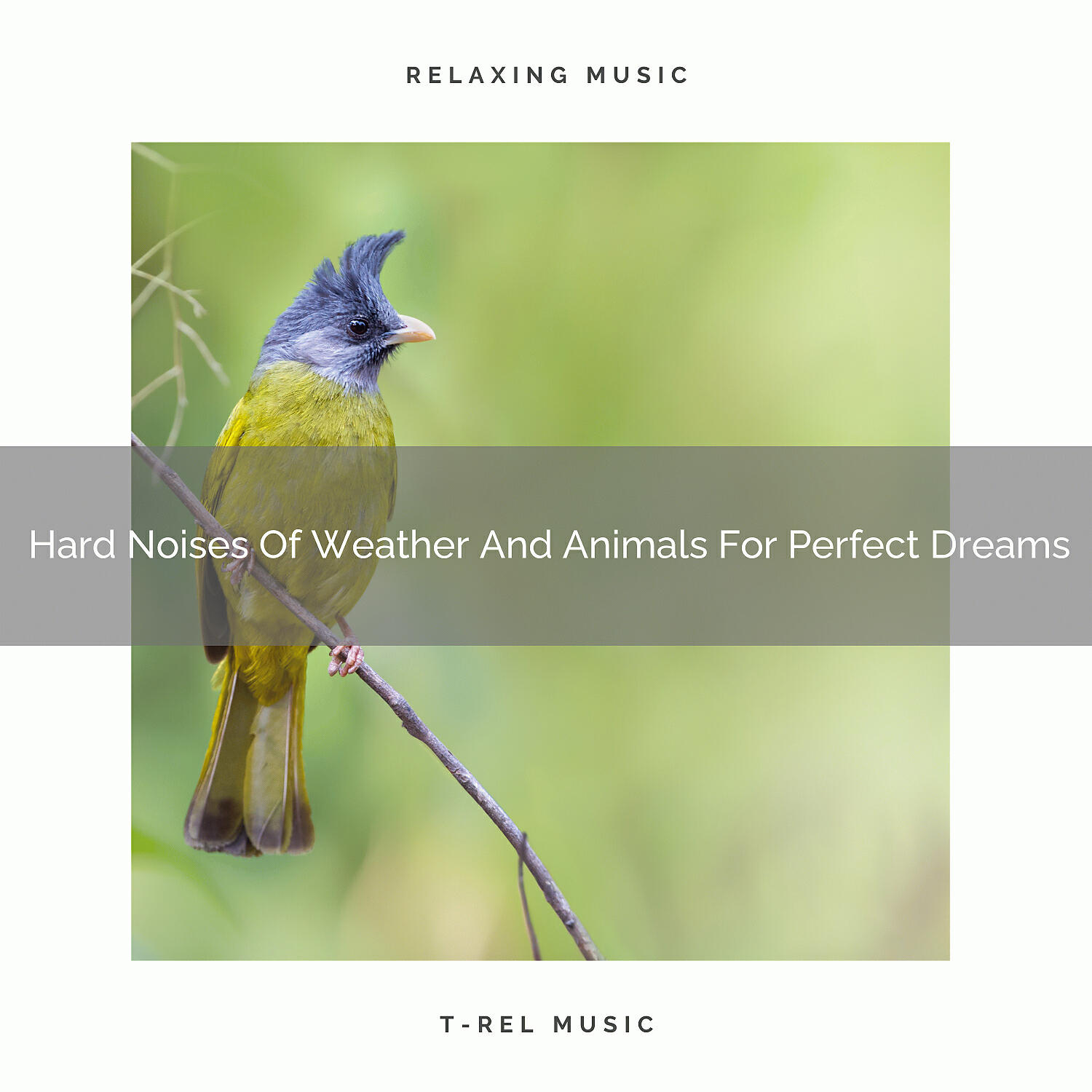 The Noise Project - Perfect White Noise Of Ocean And Animals For Good Nap