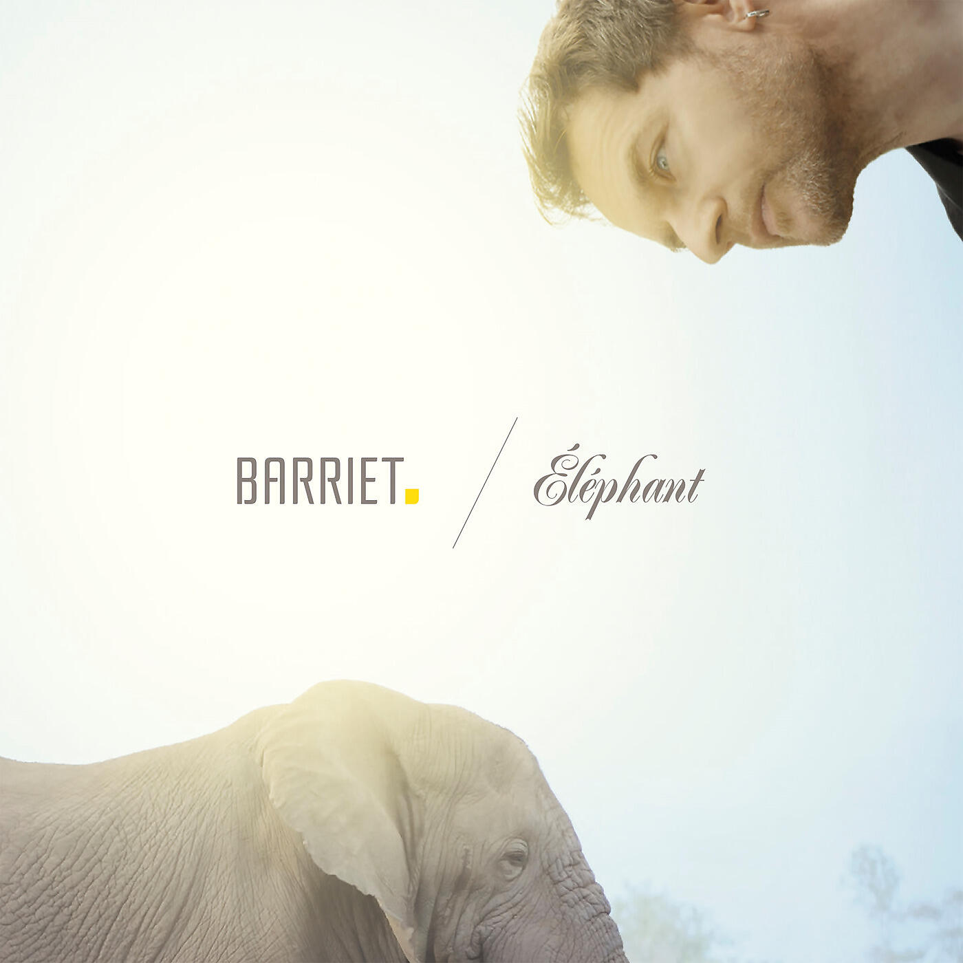 François Barriet - Le verbe aimer