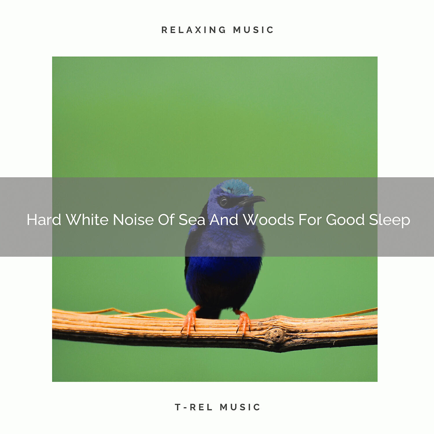 The Noise Project - Hard White Noise Of Ocean And Woods For Delicious Sleep