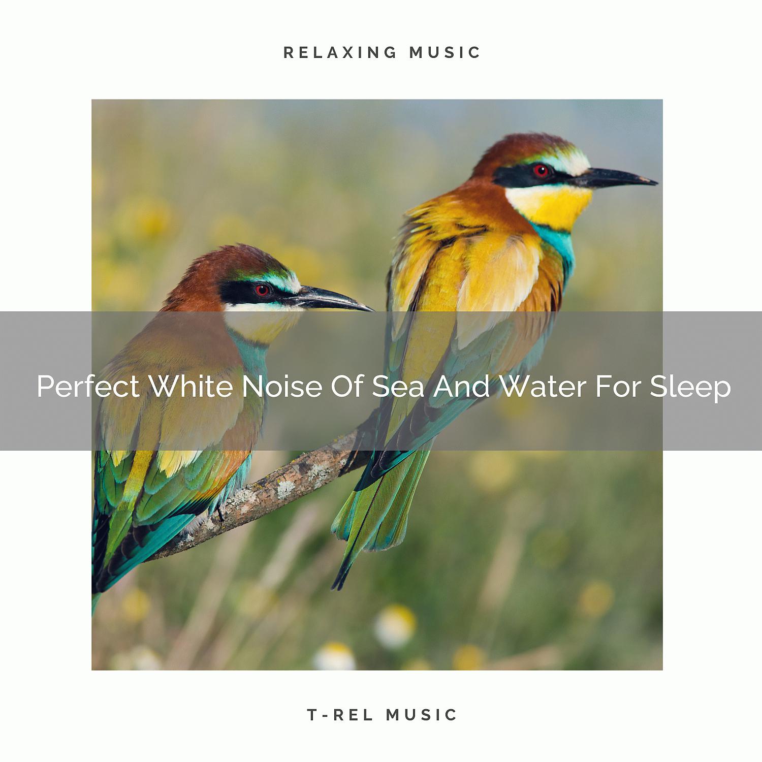 Постер альбома Perfect White Noise Of Sea And Water For Sleep