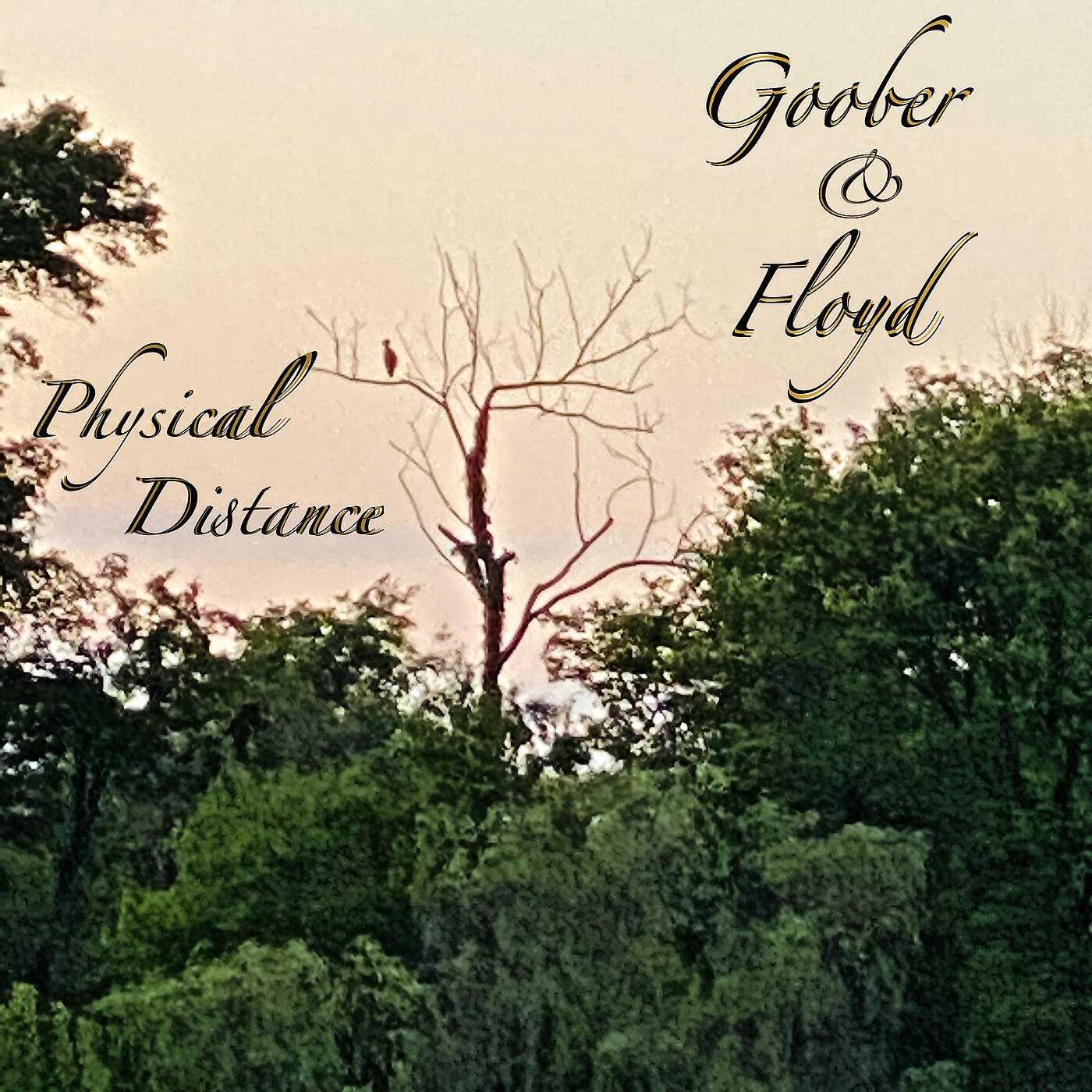 Goober & Floyd - Nose on the Grindstone
