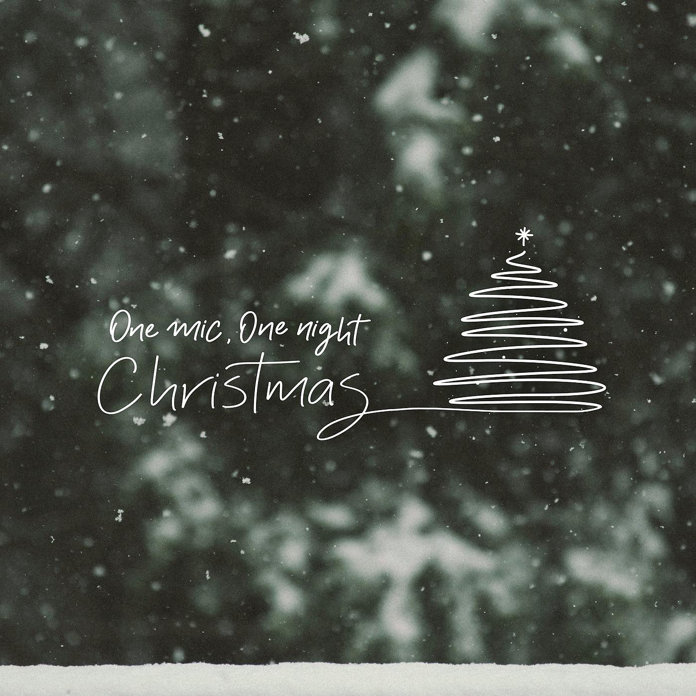 Постер альбома One Mic, One Night Christmas