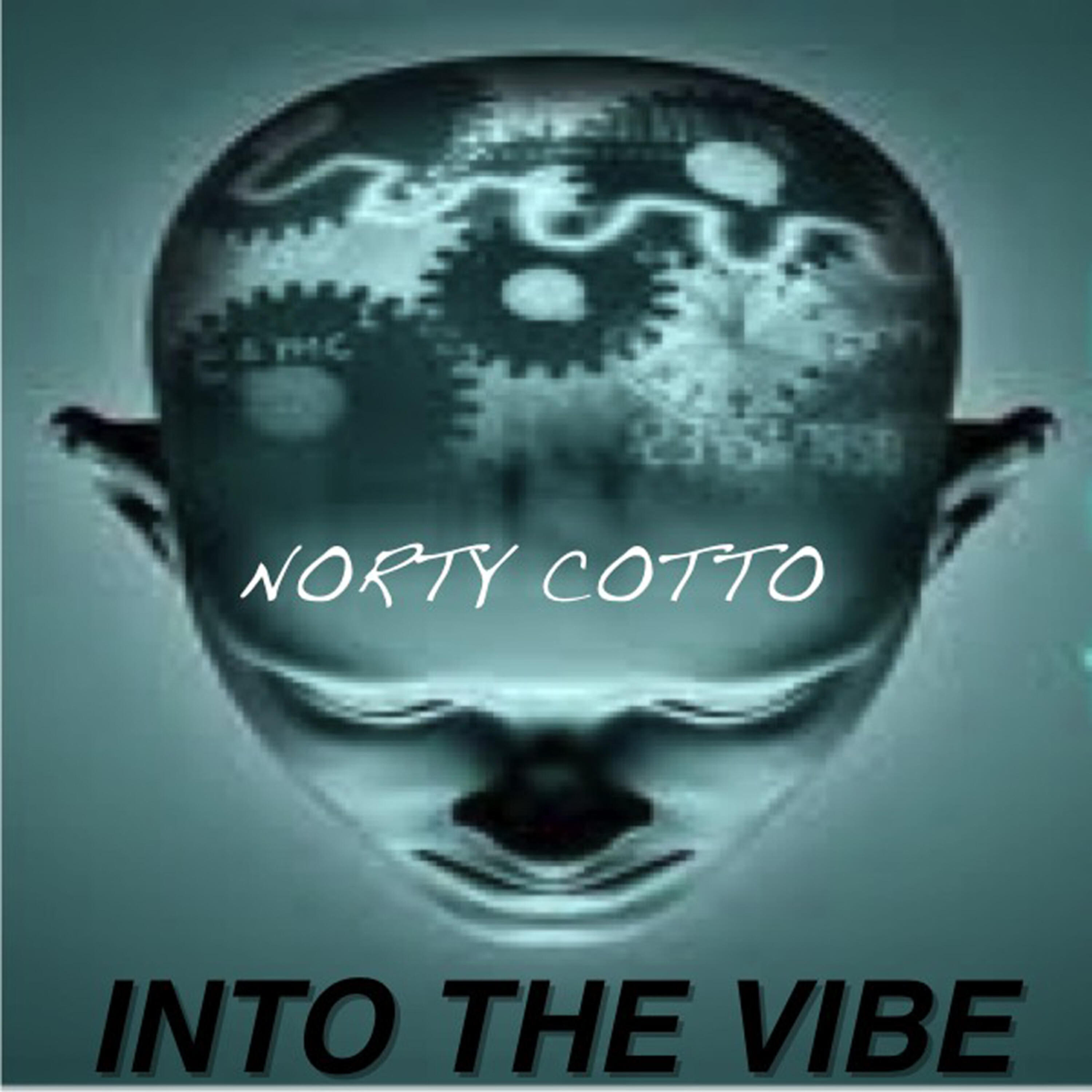 Norty Cotto - Into The Vibe (Dubmental Remix)