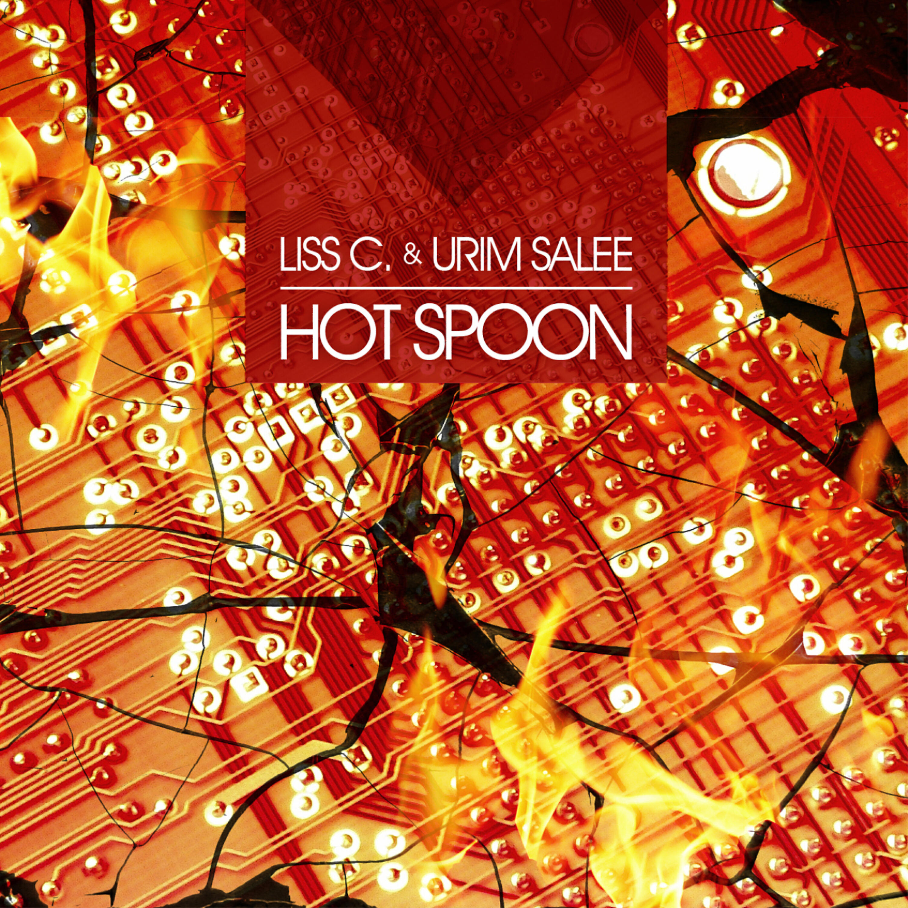Liss C. - Hot Spoon (Quantic Spectroscopy)