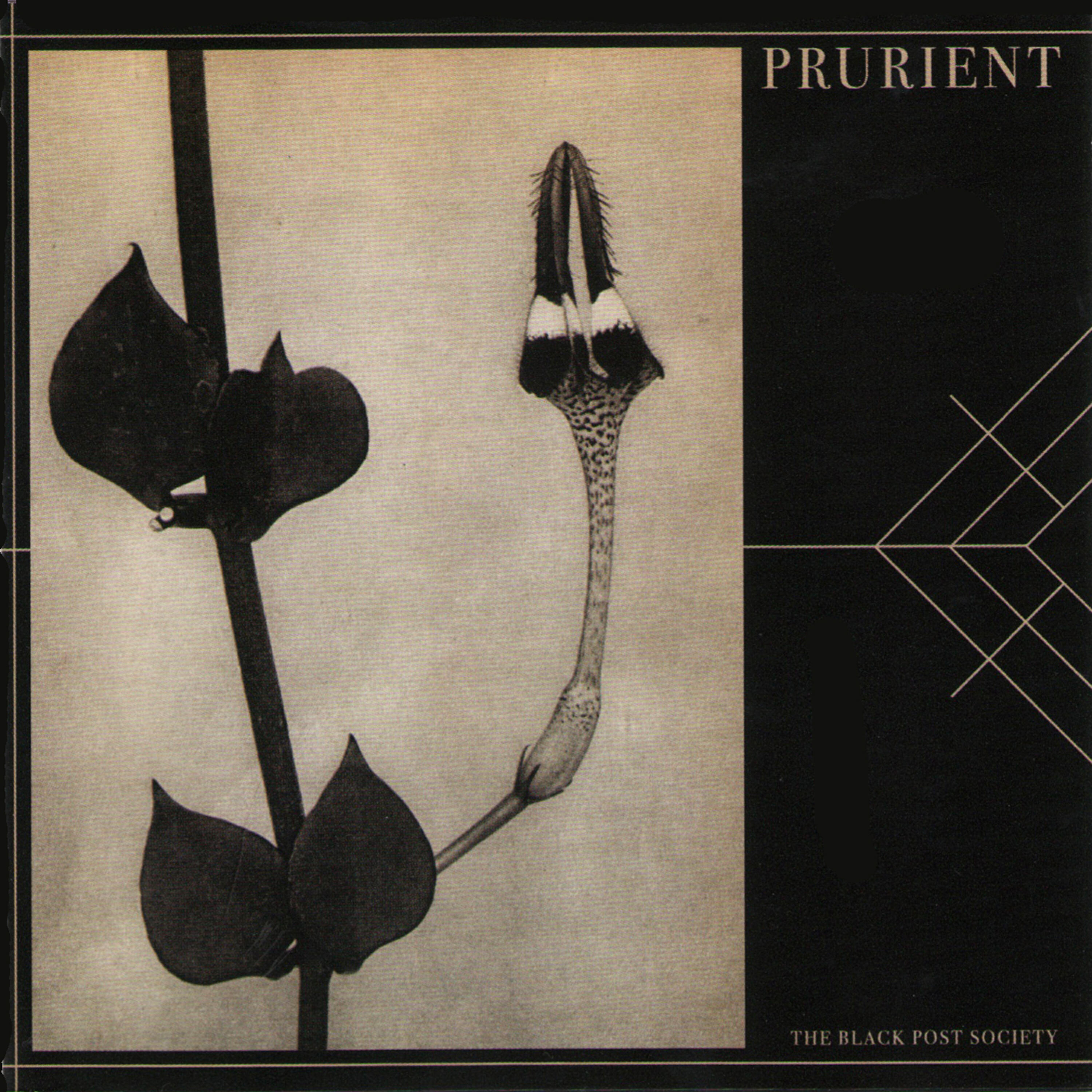 Prurient - Forever Hate