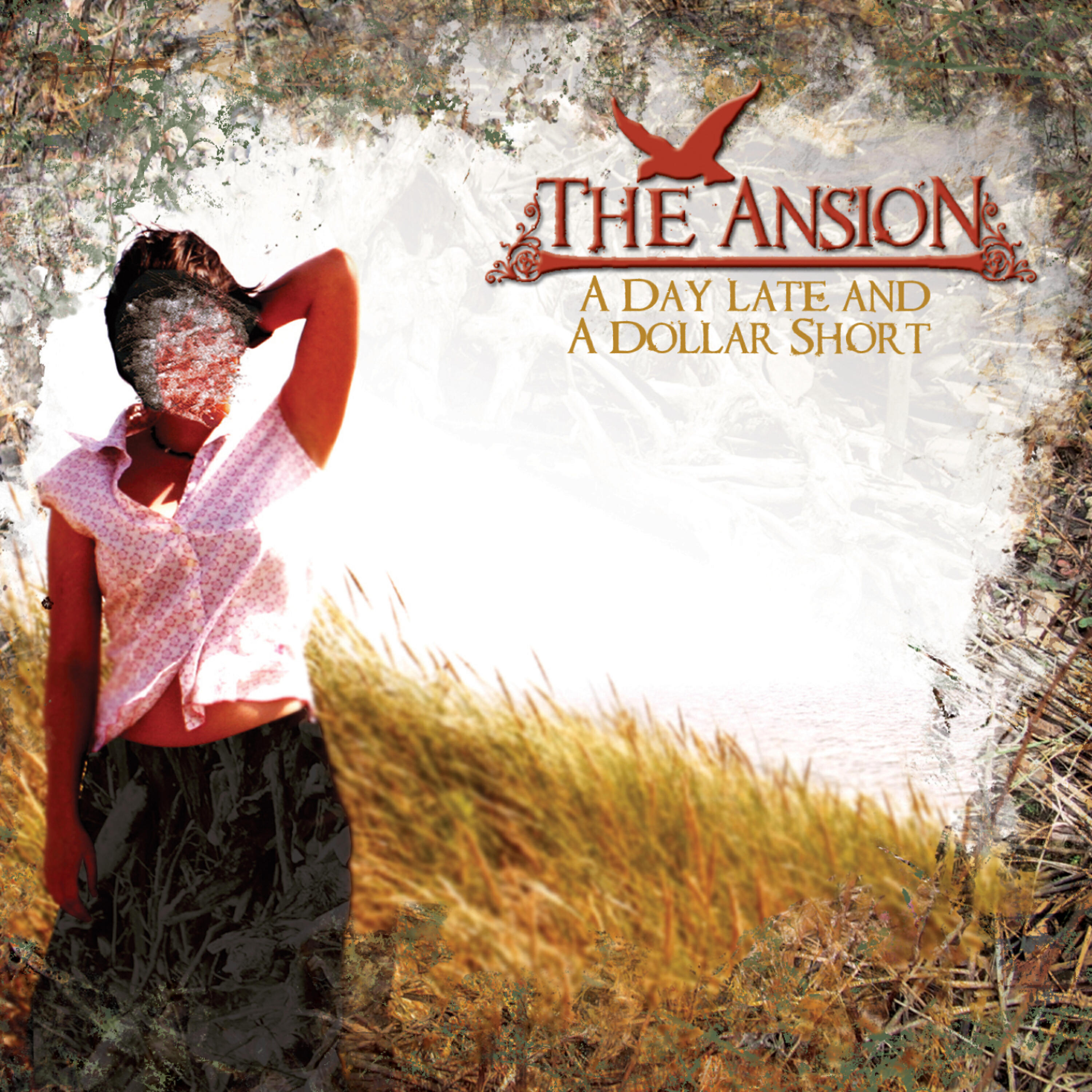The Ansion - Dammit Jim! - Why Does The Ensign Always Have To Die First?