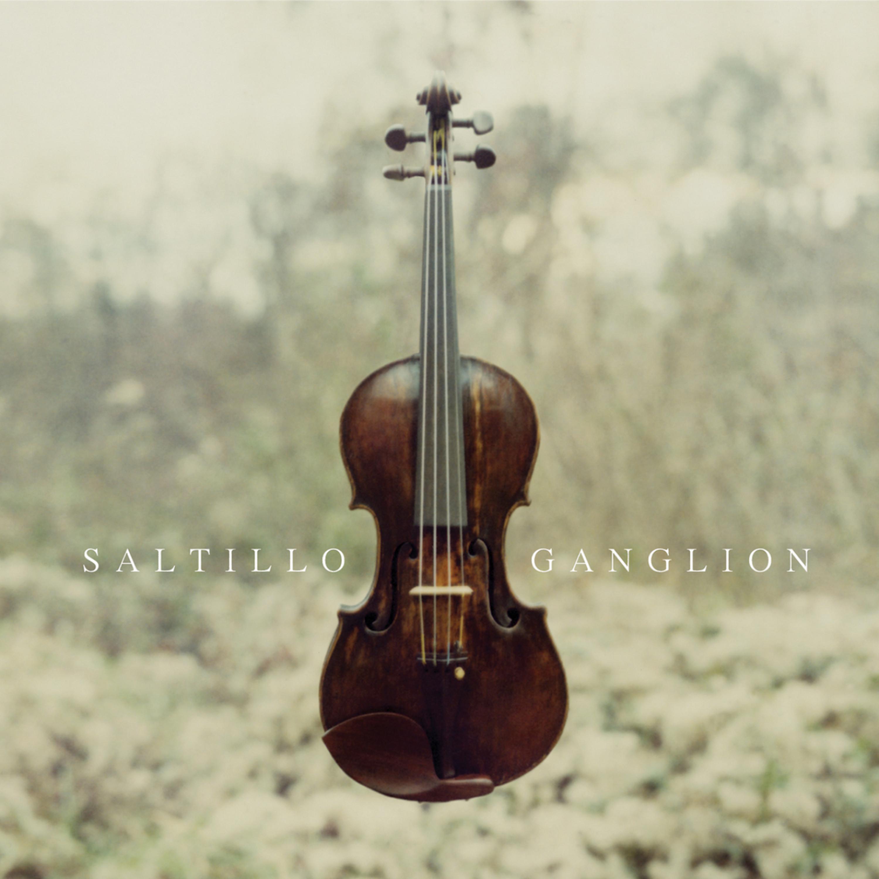 Постер альбома Ganglion