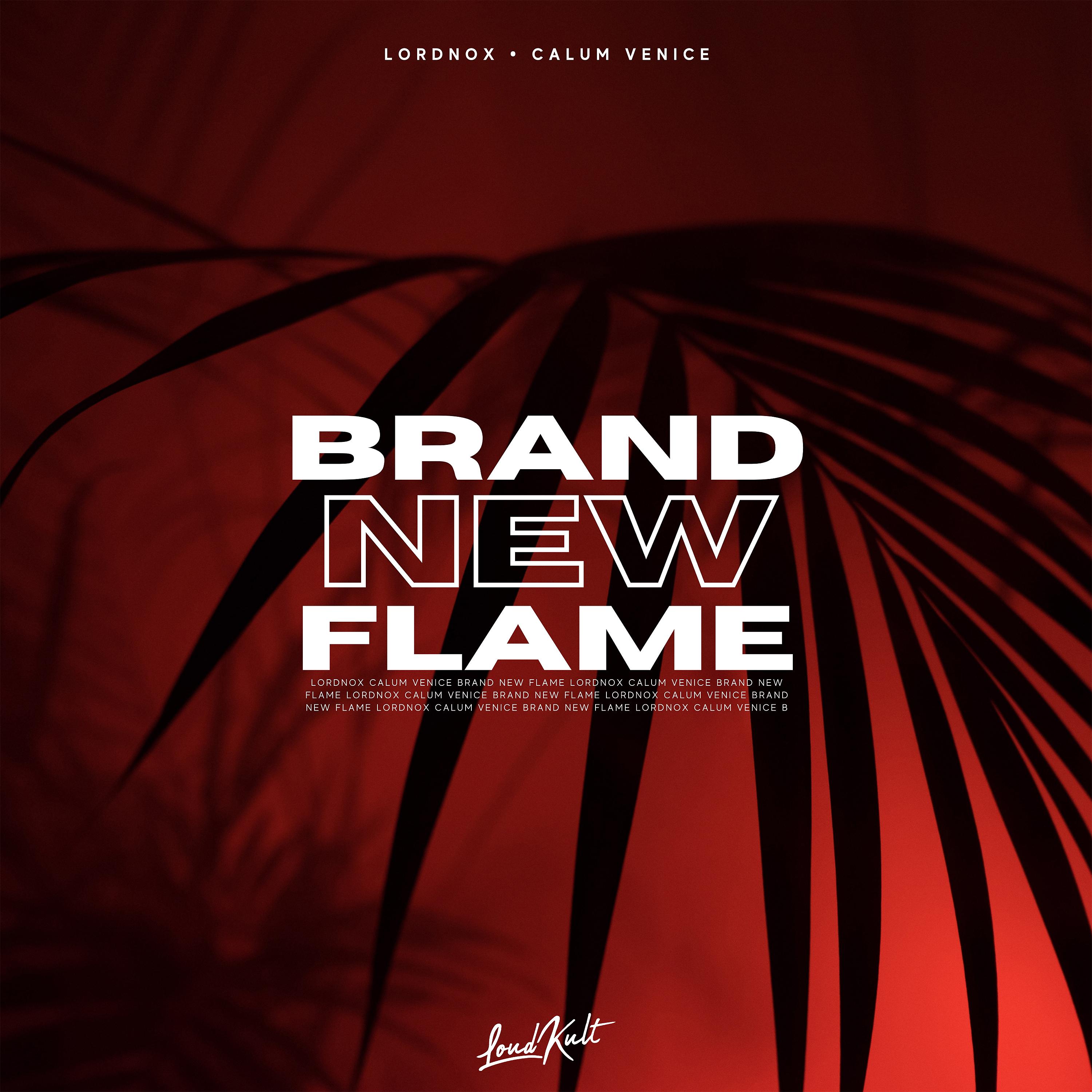 Постер альбома Brand New Flame