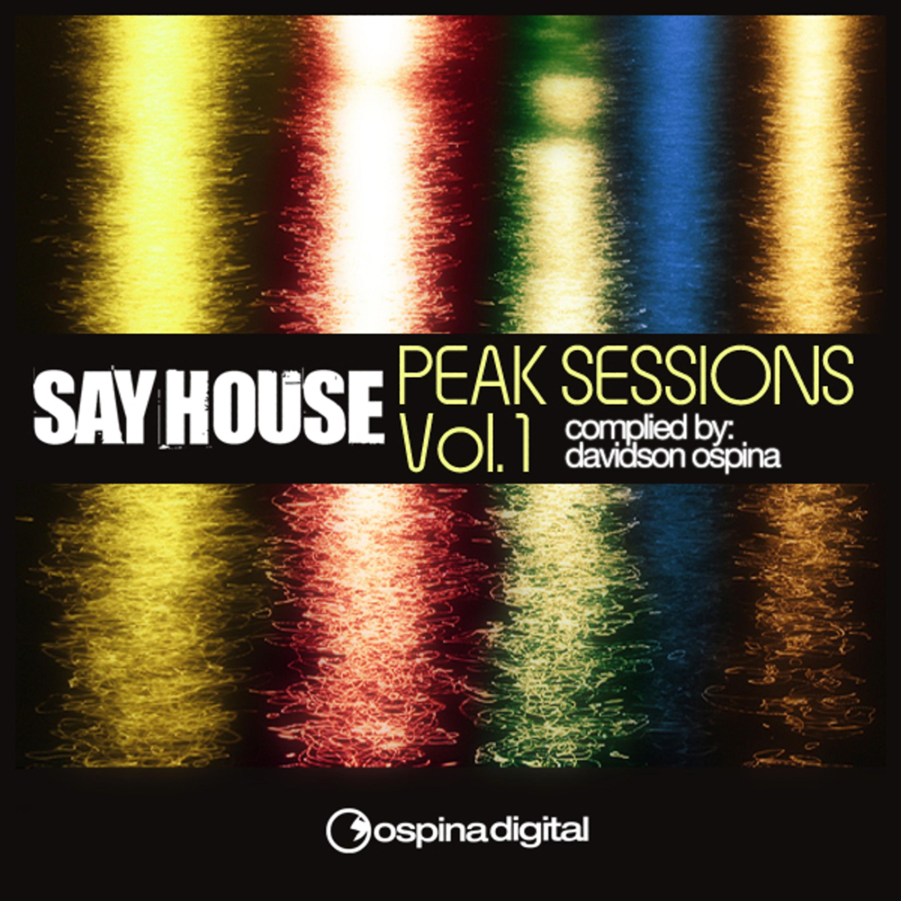 Постер альбома Say House - Peak Sessions Vol. 1