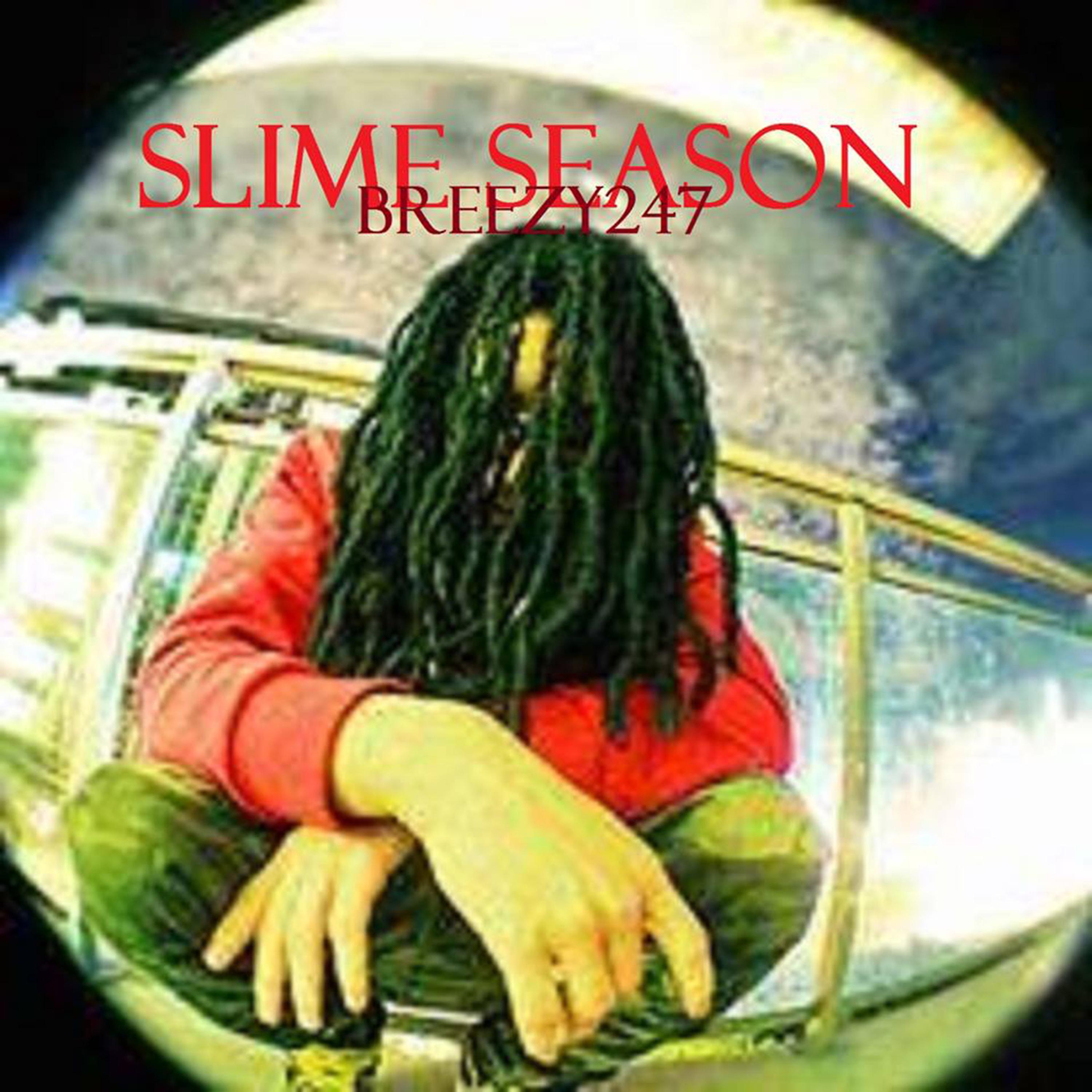 Постер альбома Slime Season