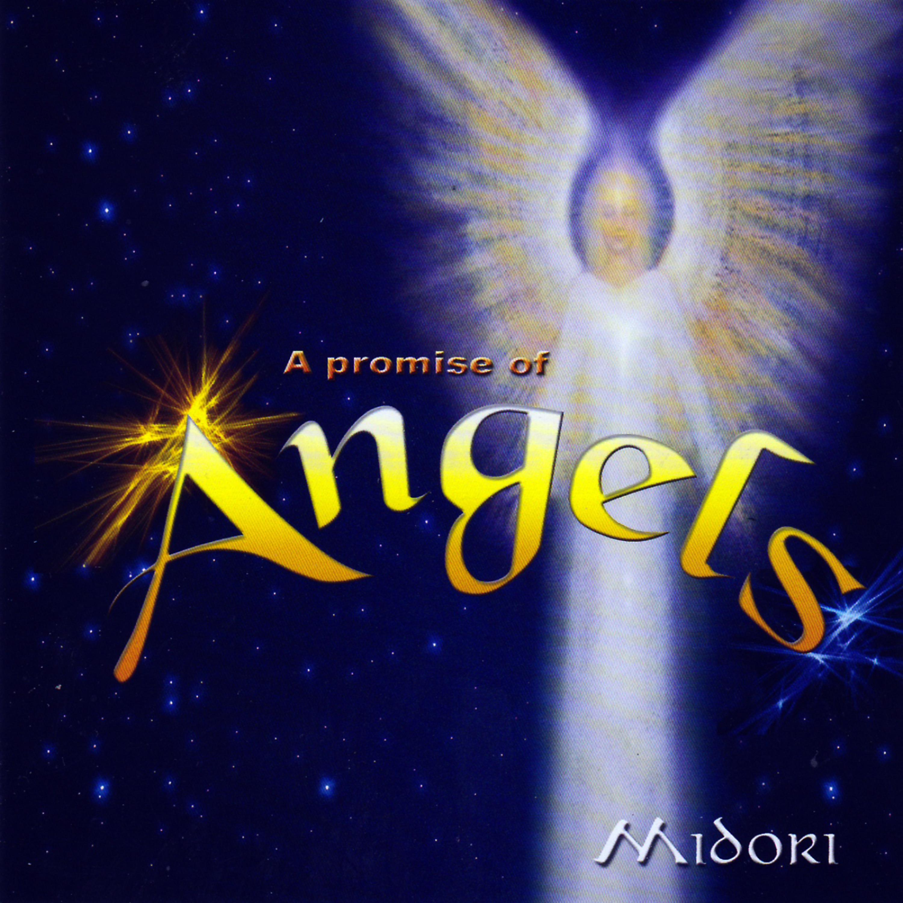 Постер альбома A Promise Of Angels