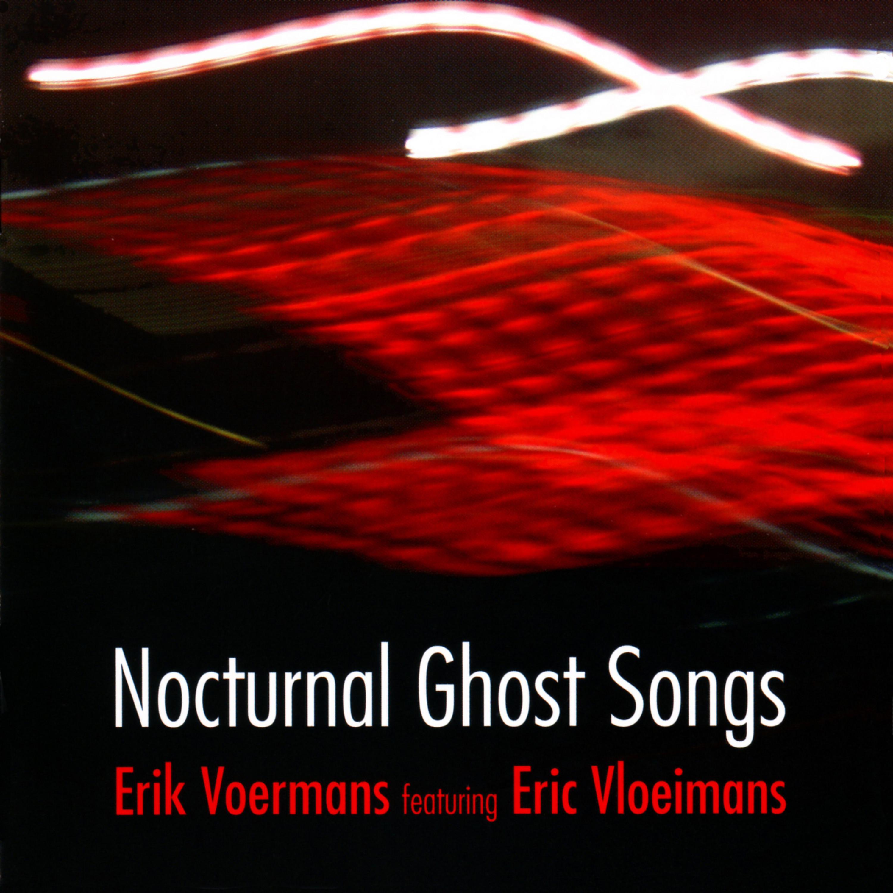 Постер альбома Nocturnal Ghost Songs
