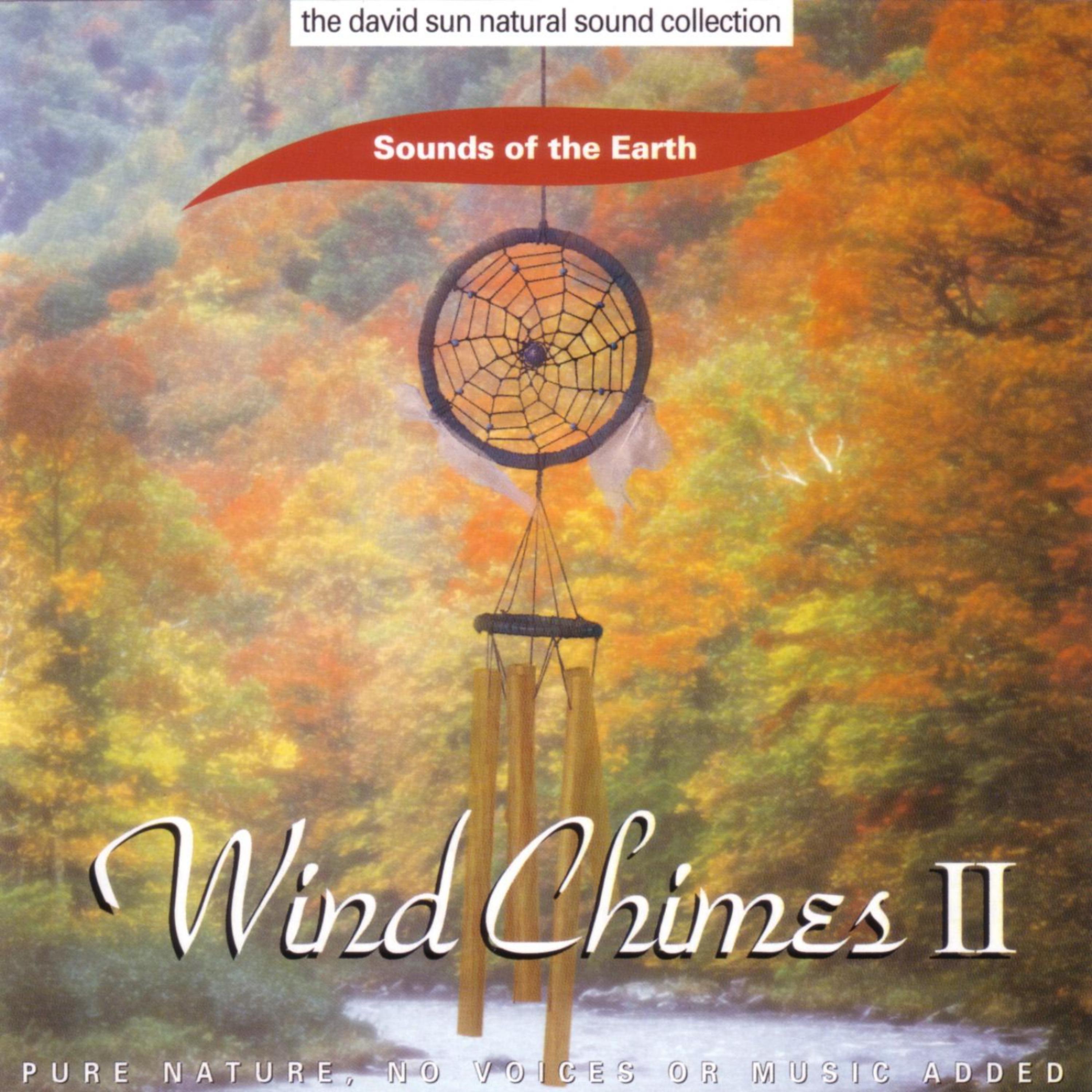 Постер альбома Wind Chimes II