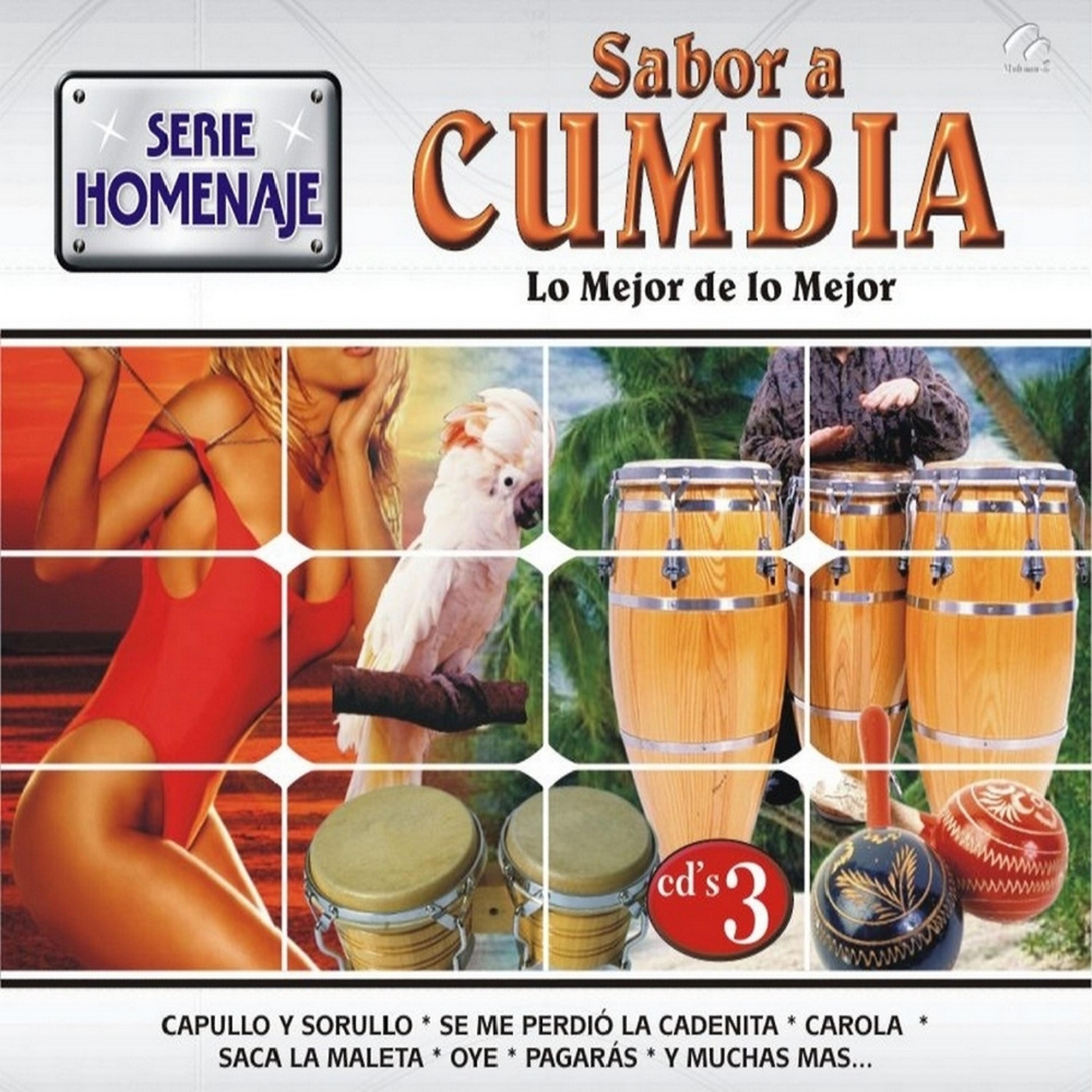 Постер альбома Sabor A Cumbia