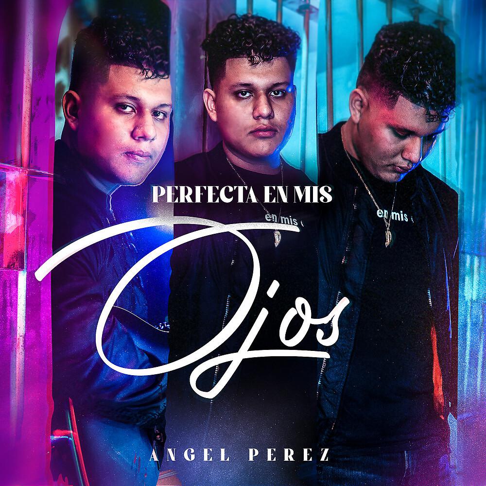Постер альбома Perfecta En Mis Ojos