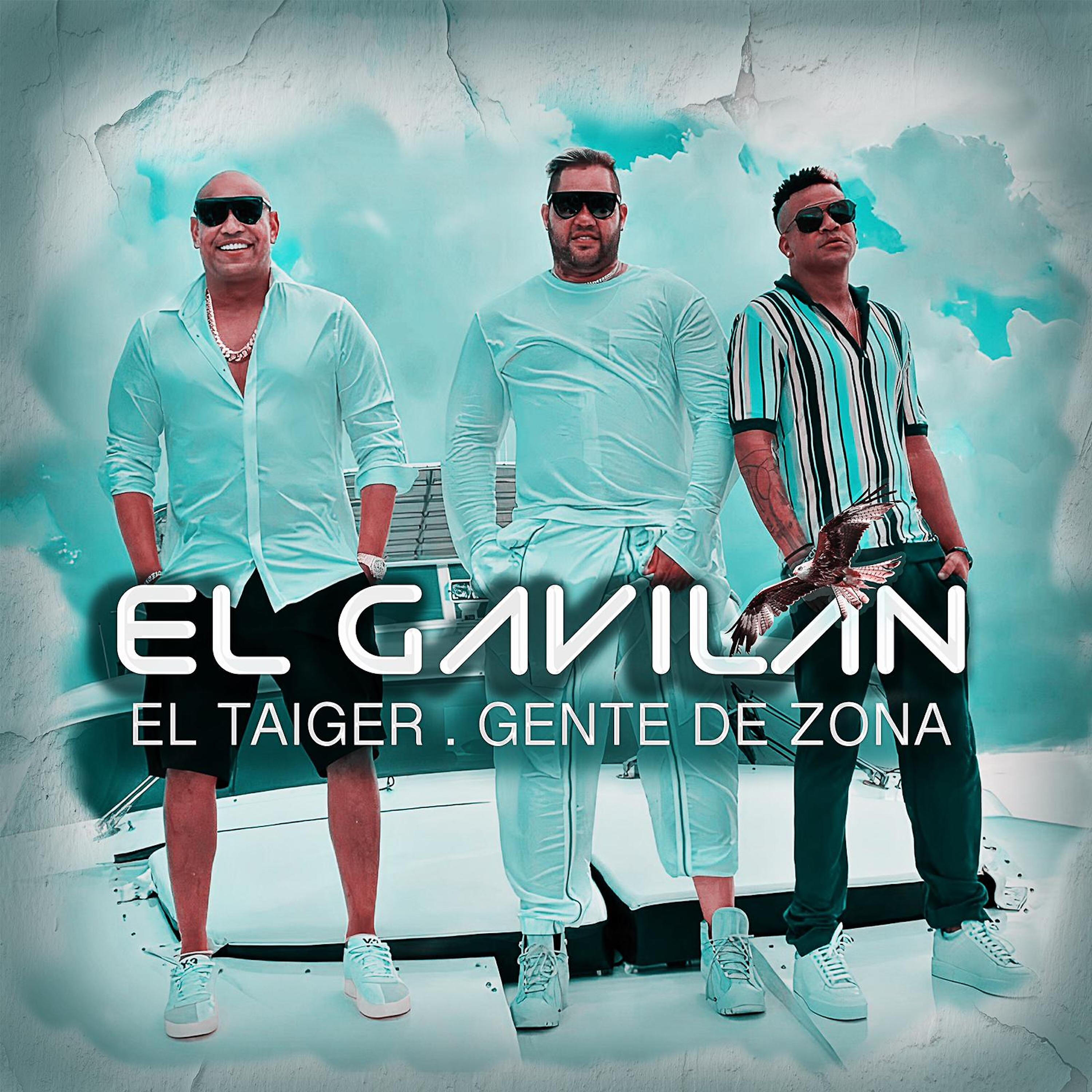 EL TAIGER - El Gavilan