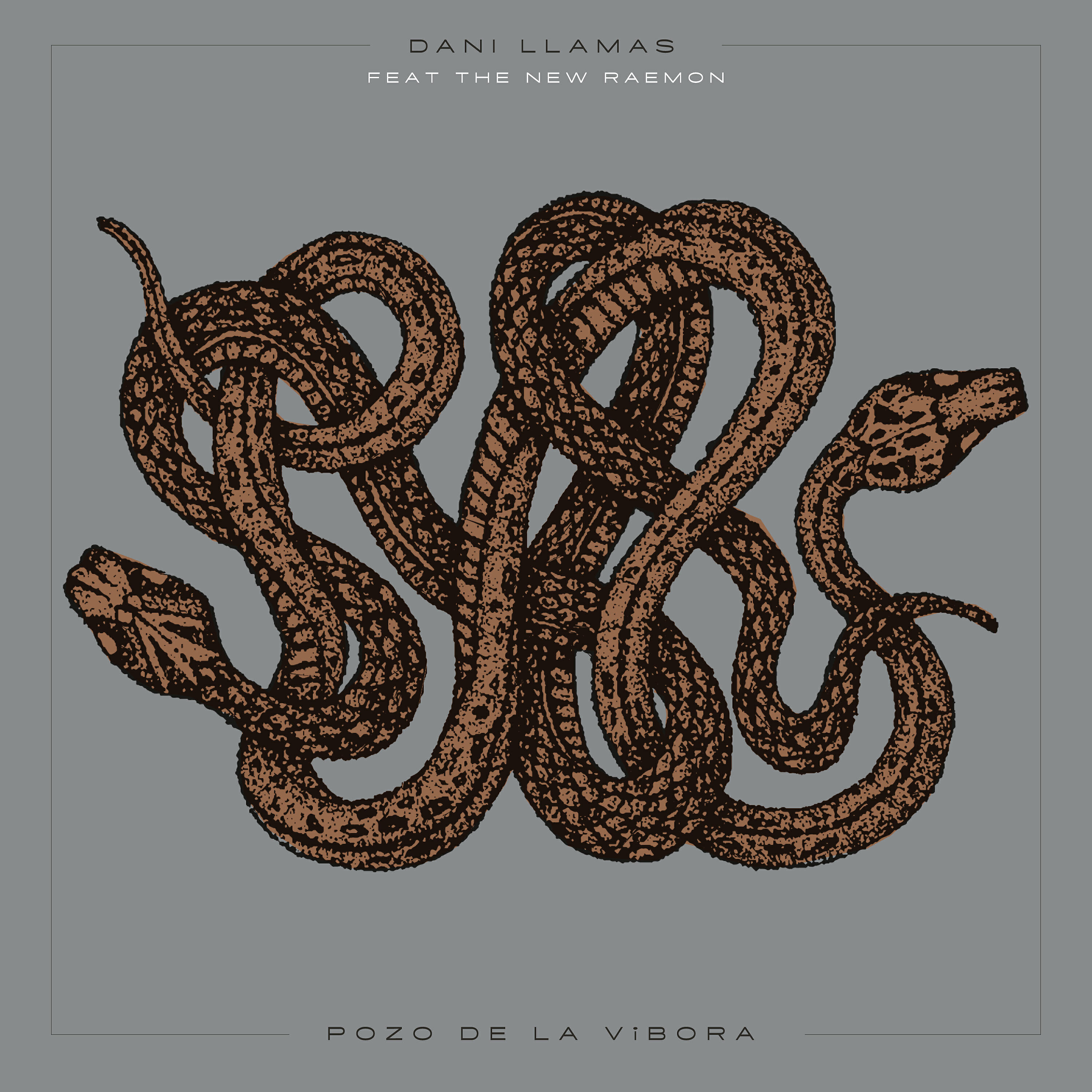 Dani Llamas - Pozo de la Víbora
