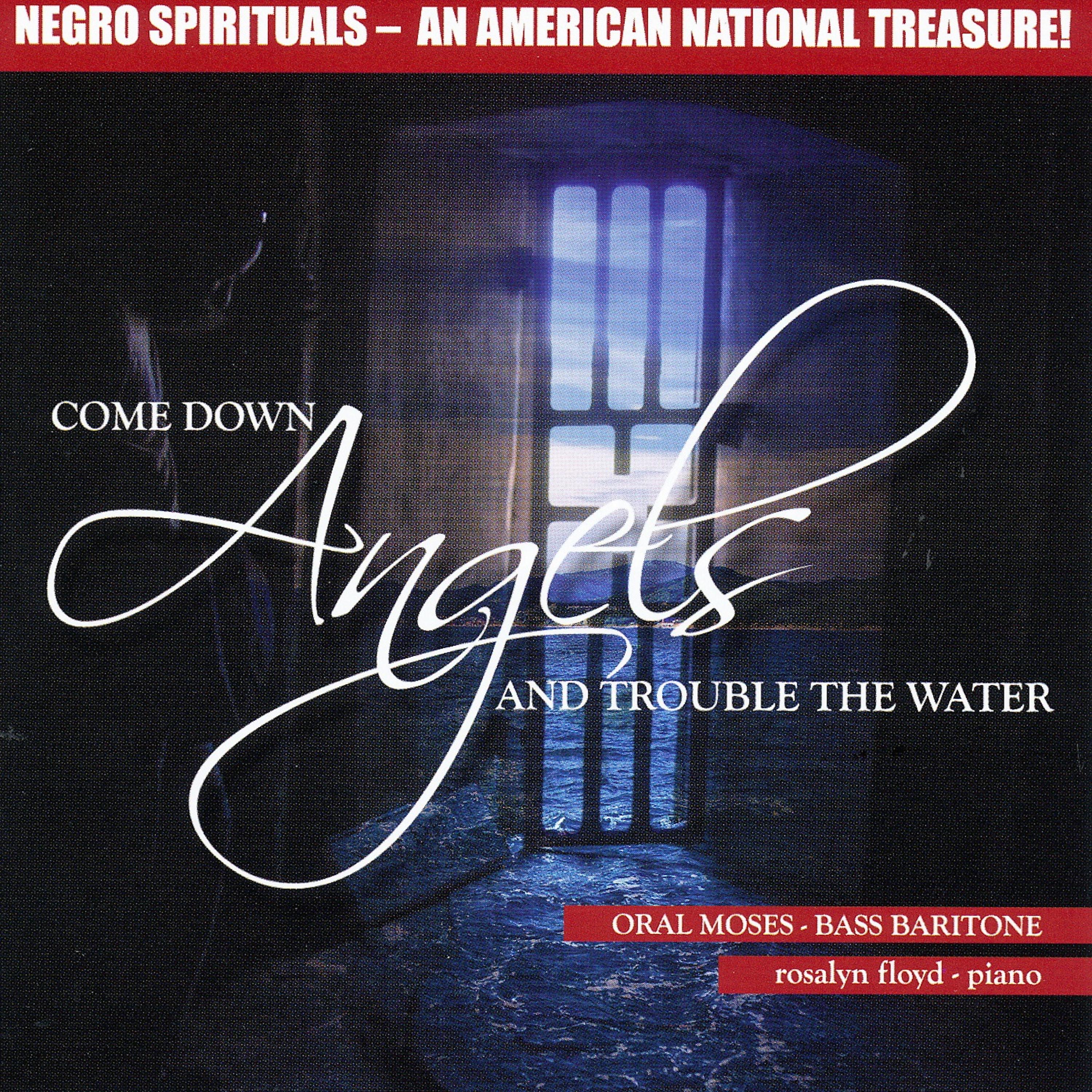 Постер альбома Negro Spirituals - An American National Treasure
