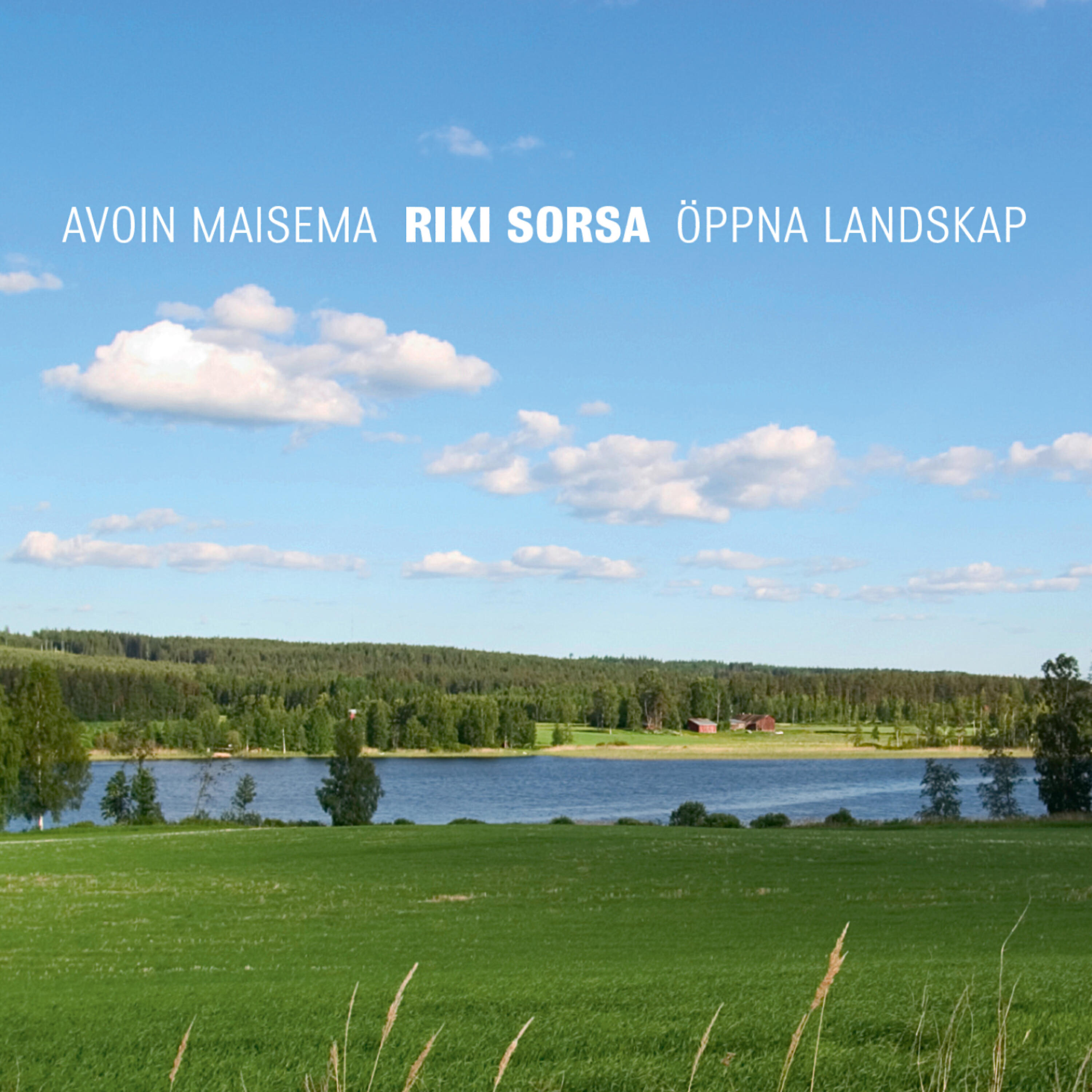Riki Sorsa - Öppna landskap