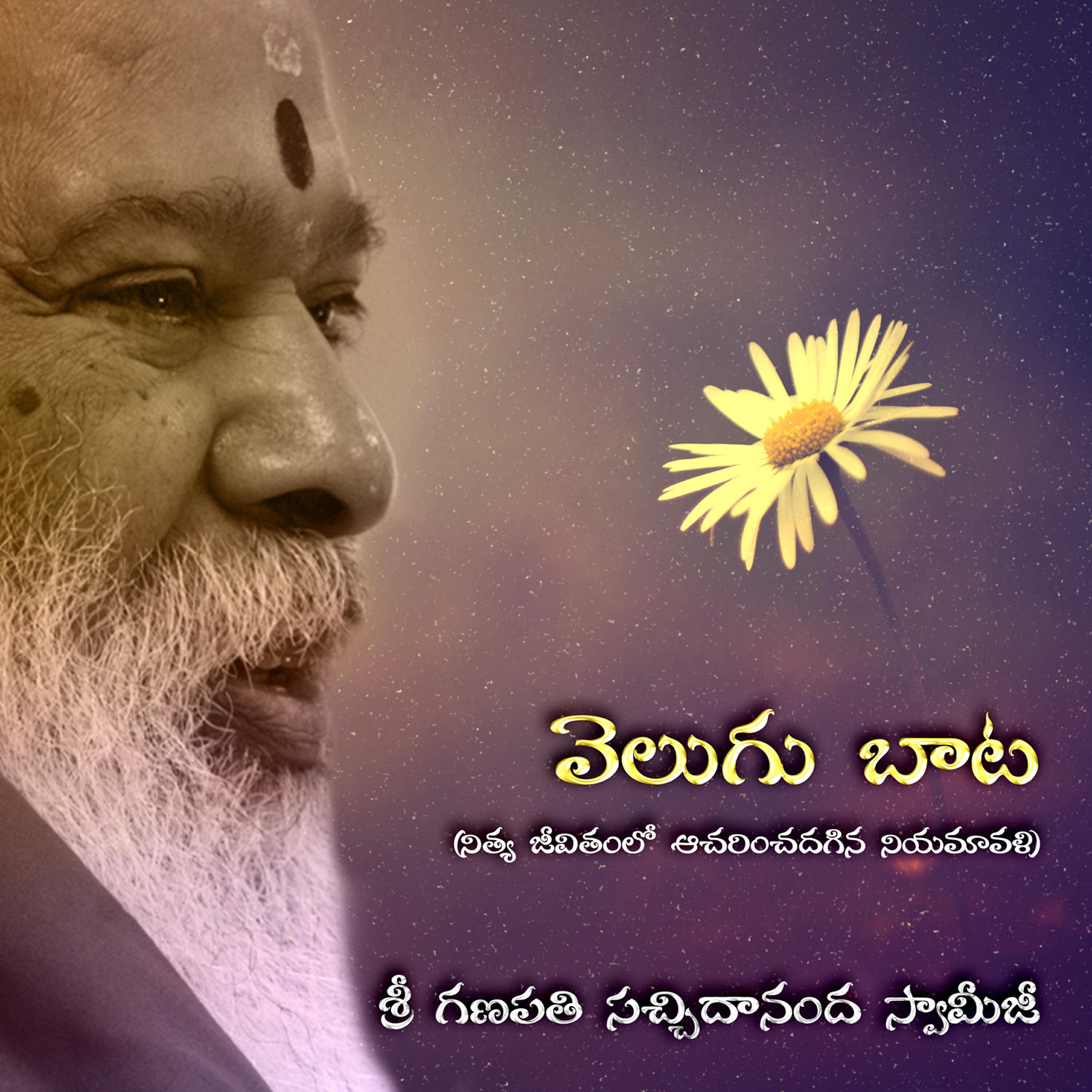 Sri Ganapathy Sachchidananda Swamiji - Surya Pradhana