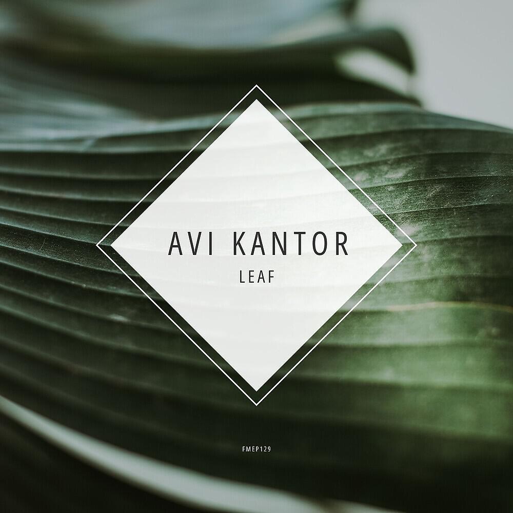 Avi Kantor - Beat Me