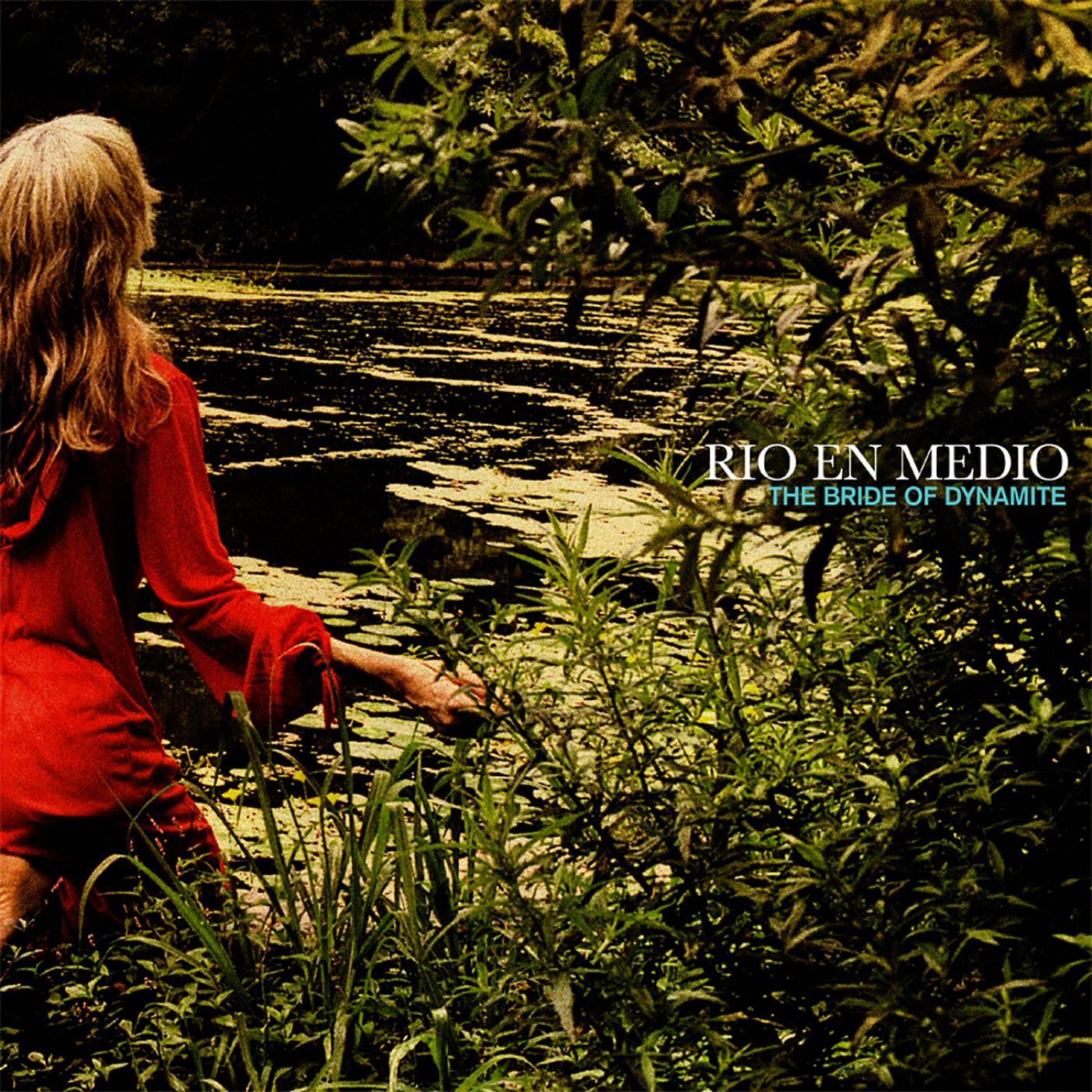 Danielle Stech Homsy - Kill The Messenger