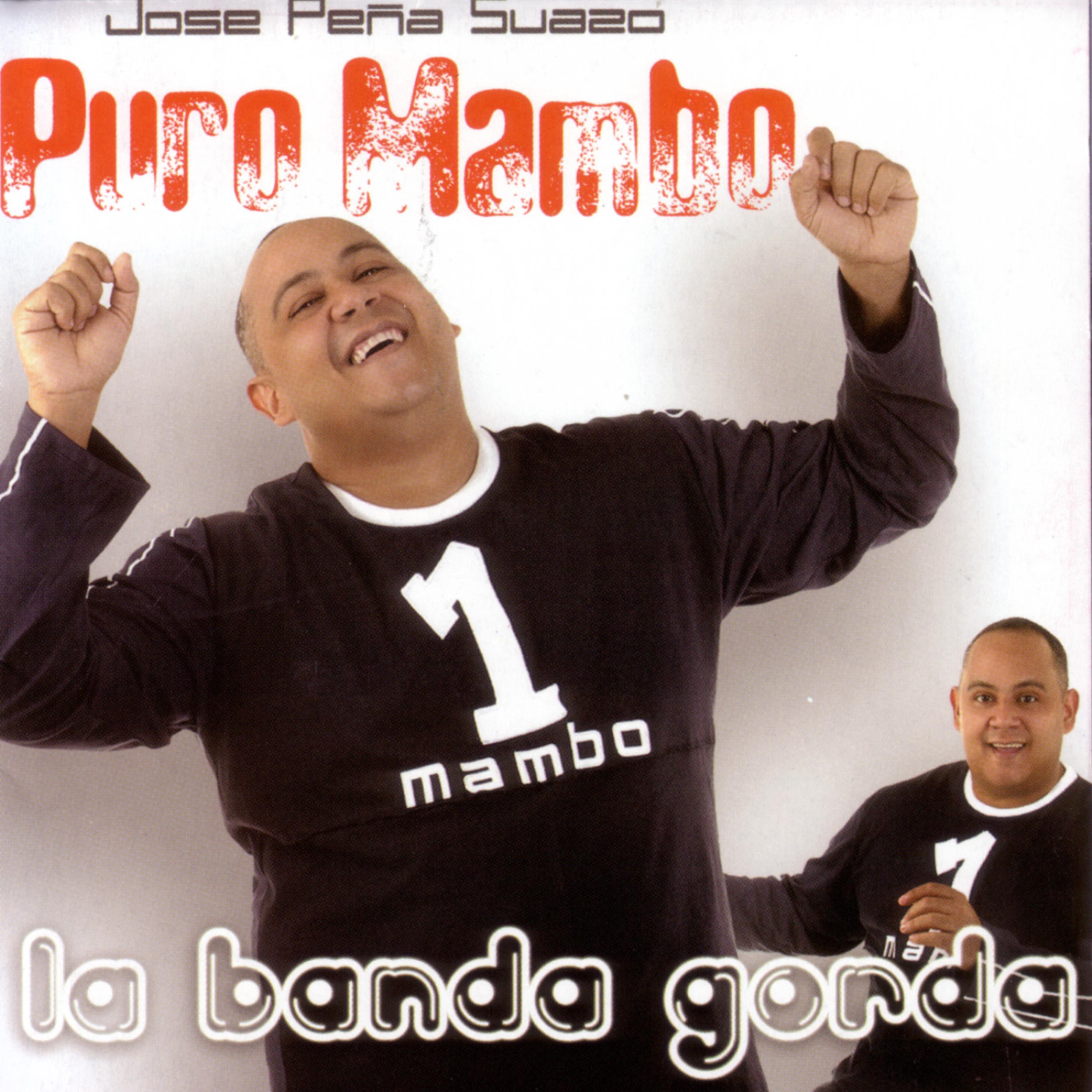 Постер альбома Puro Mambo