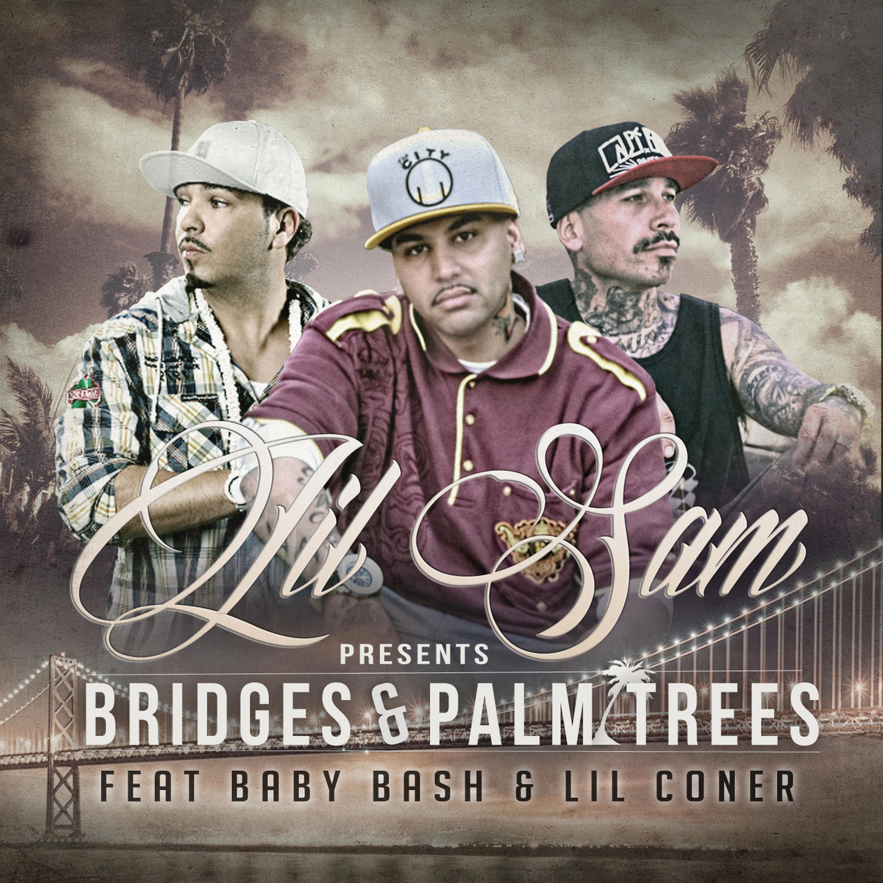 Постер альбома Bridges & Palm Trees (feat. Baby Bash & Lil Coner)