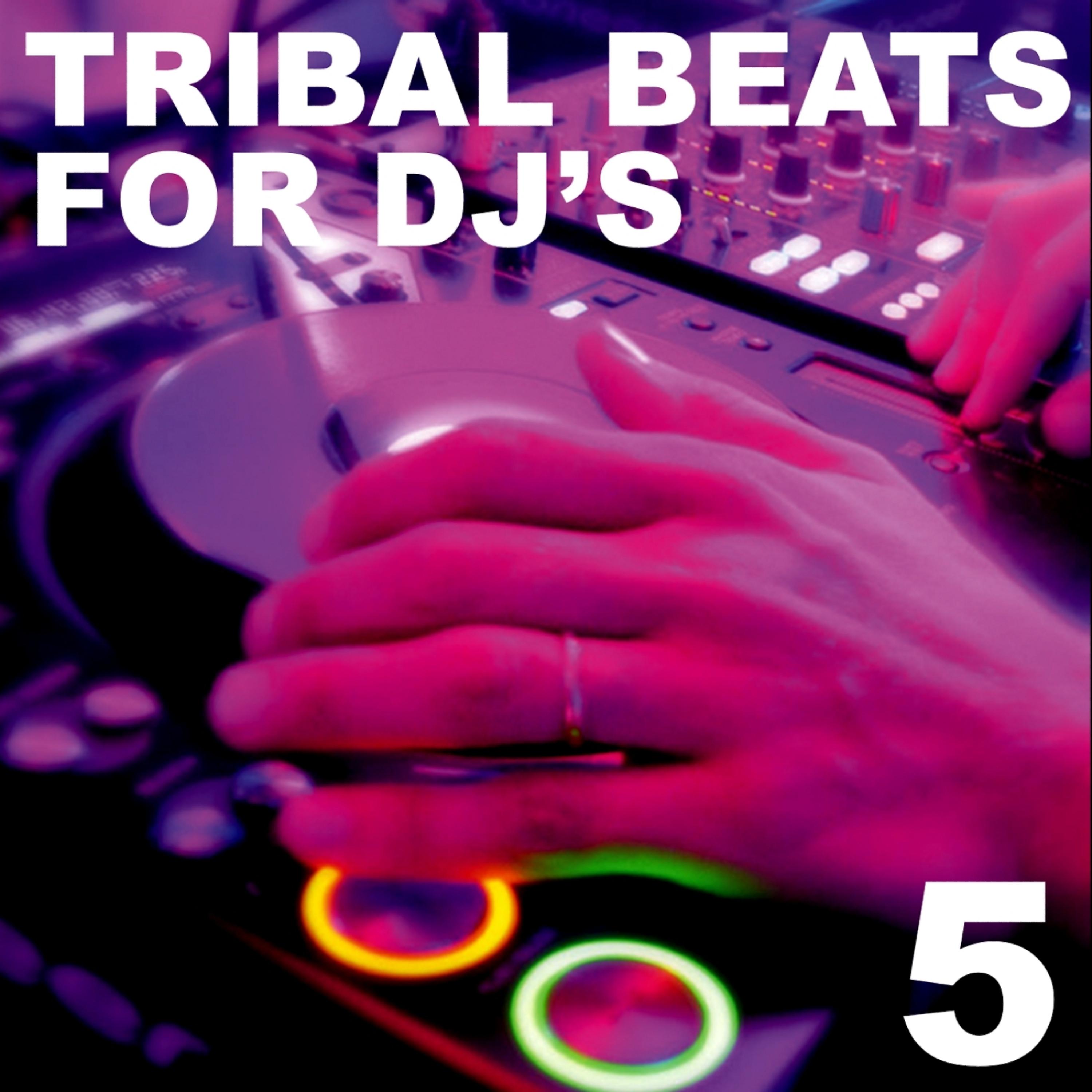 Постер альбома Tribal Beats for DJ's - Vol. 5