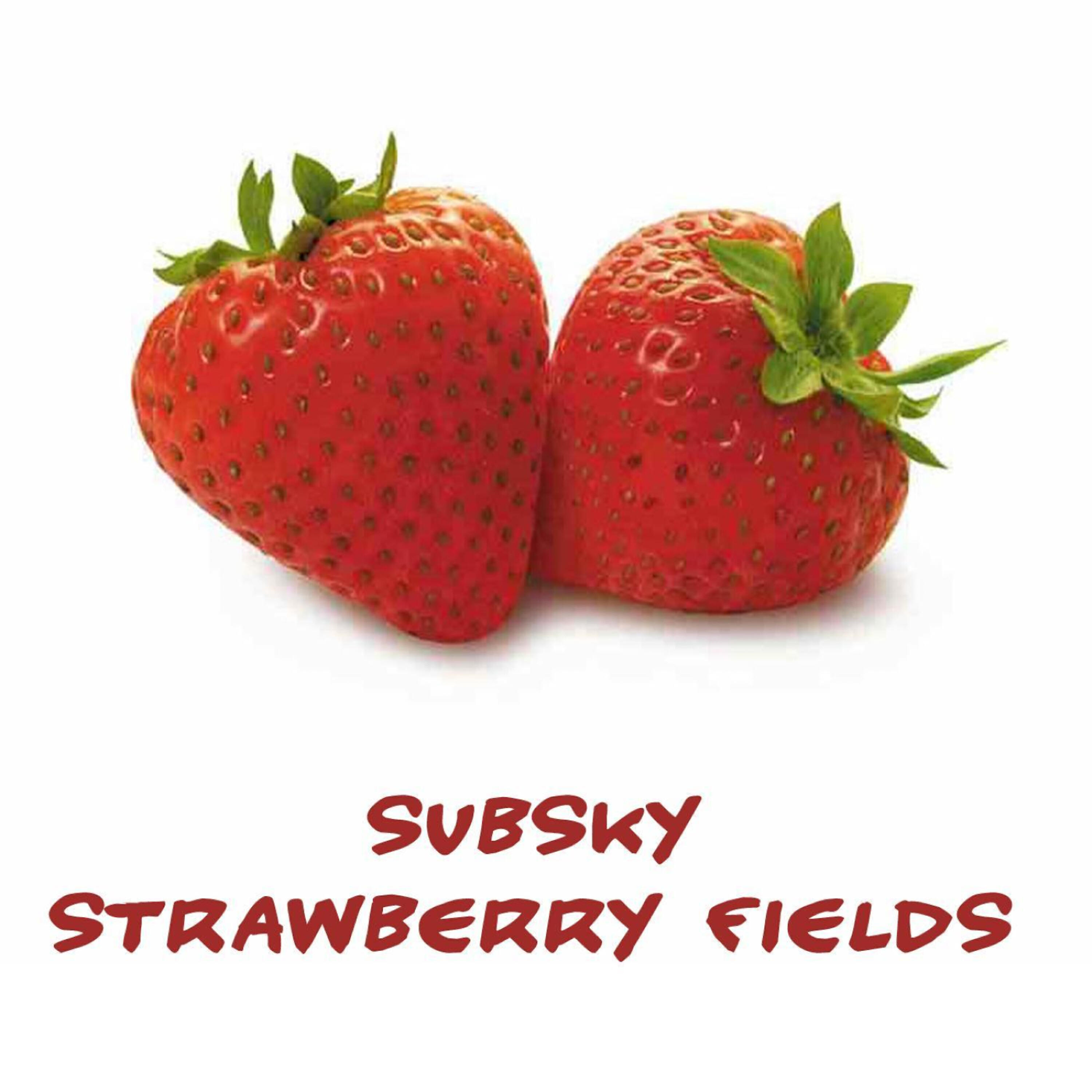 Subsky - Strawberry Fields (Max Graham Mix)