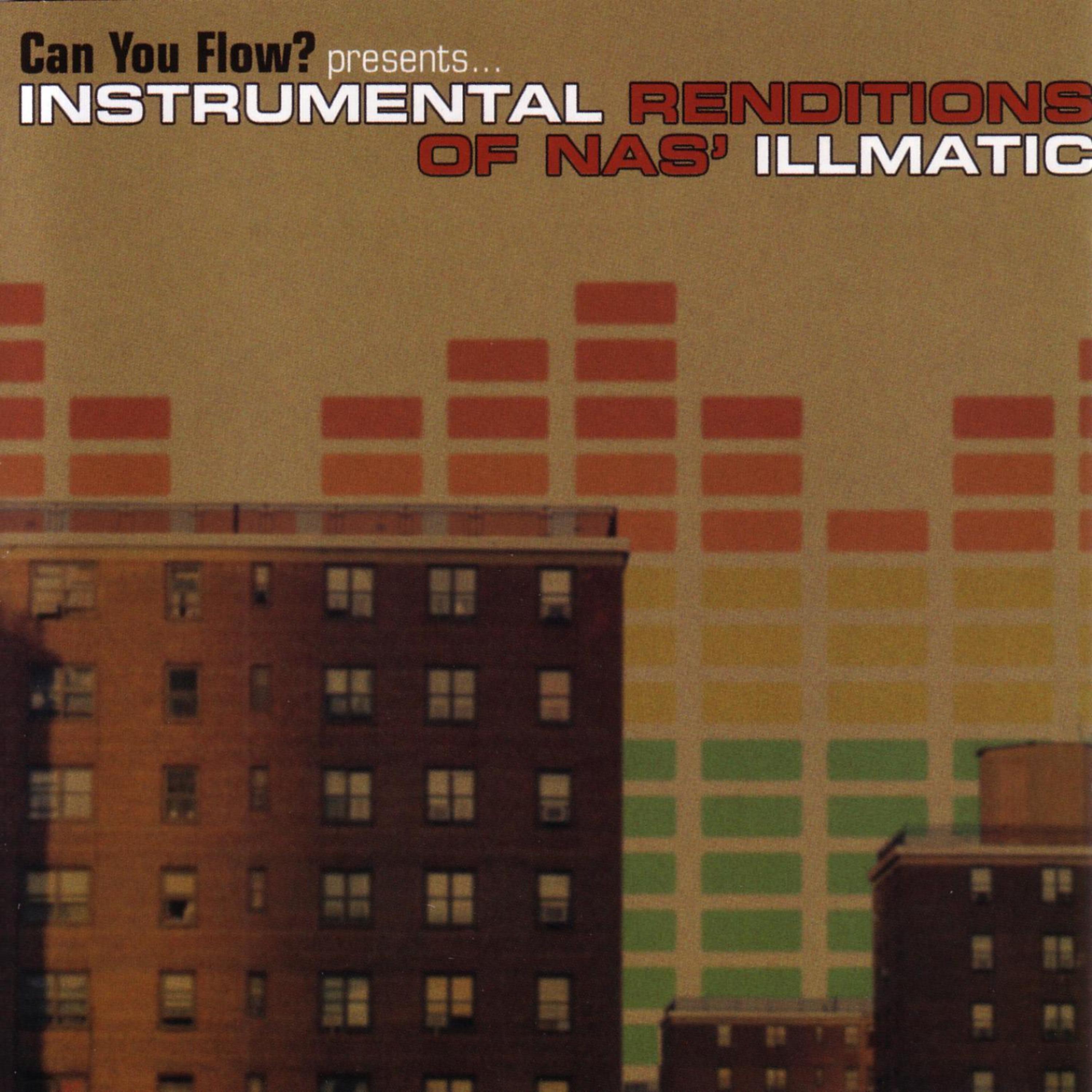 Постер альбома Can You Flow? Presents Instrumental Renditions of Nas' Illmatic