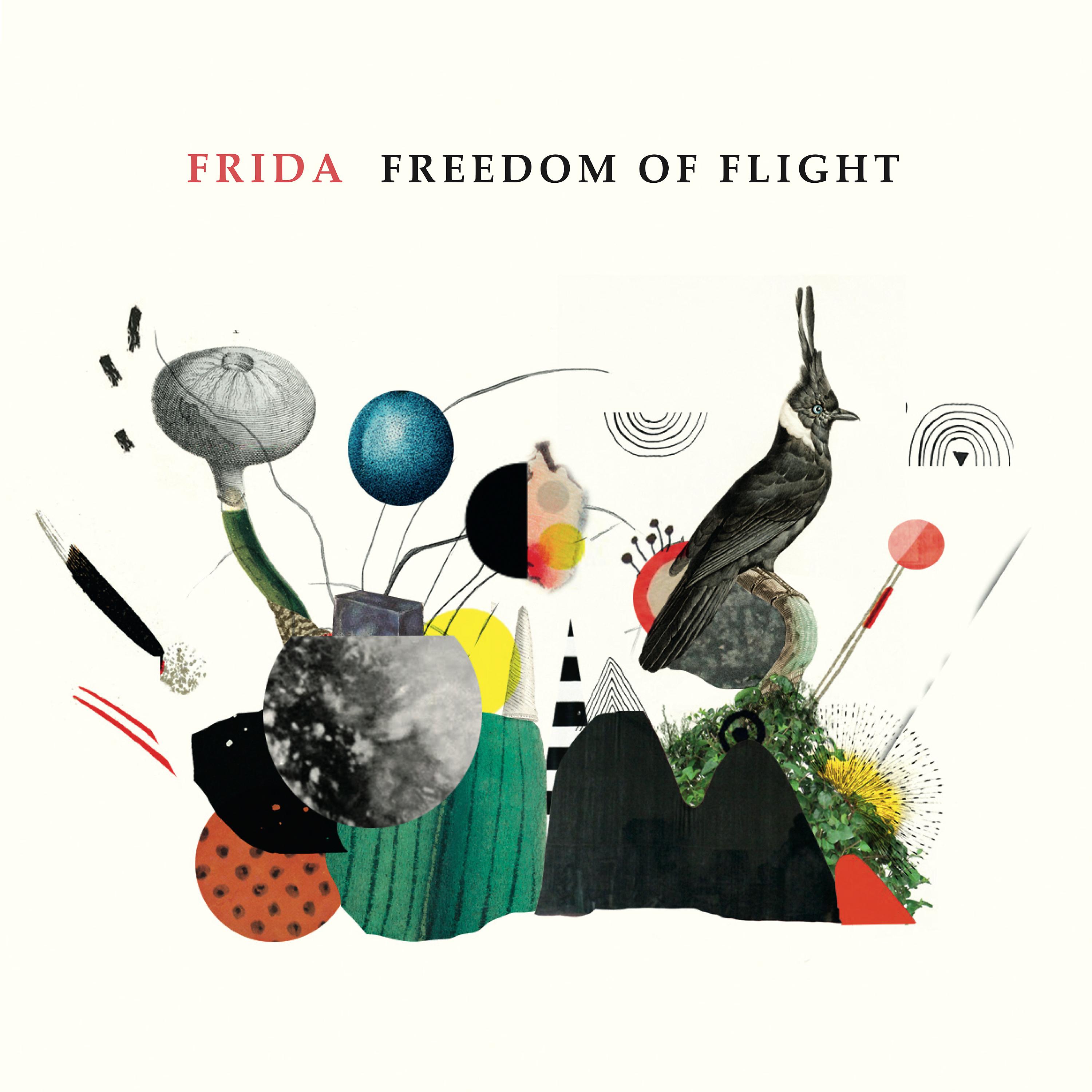 Постер альбома Freedom of Flight