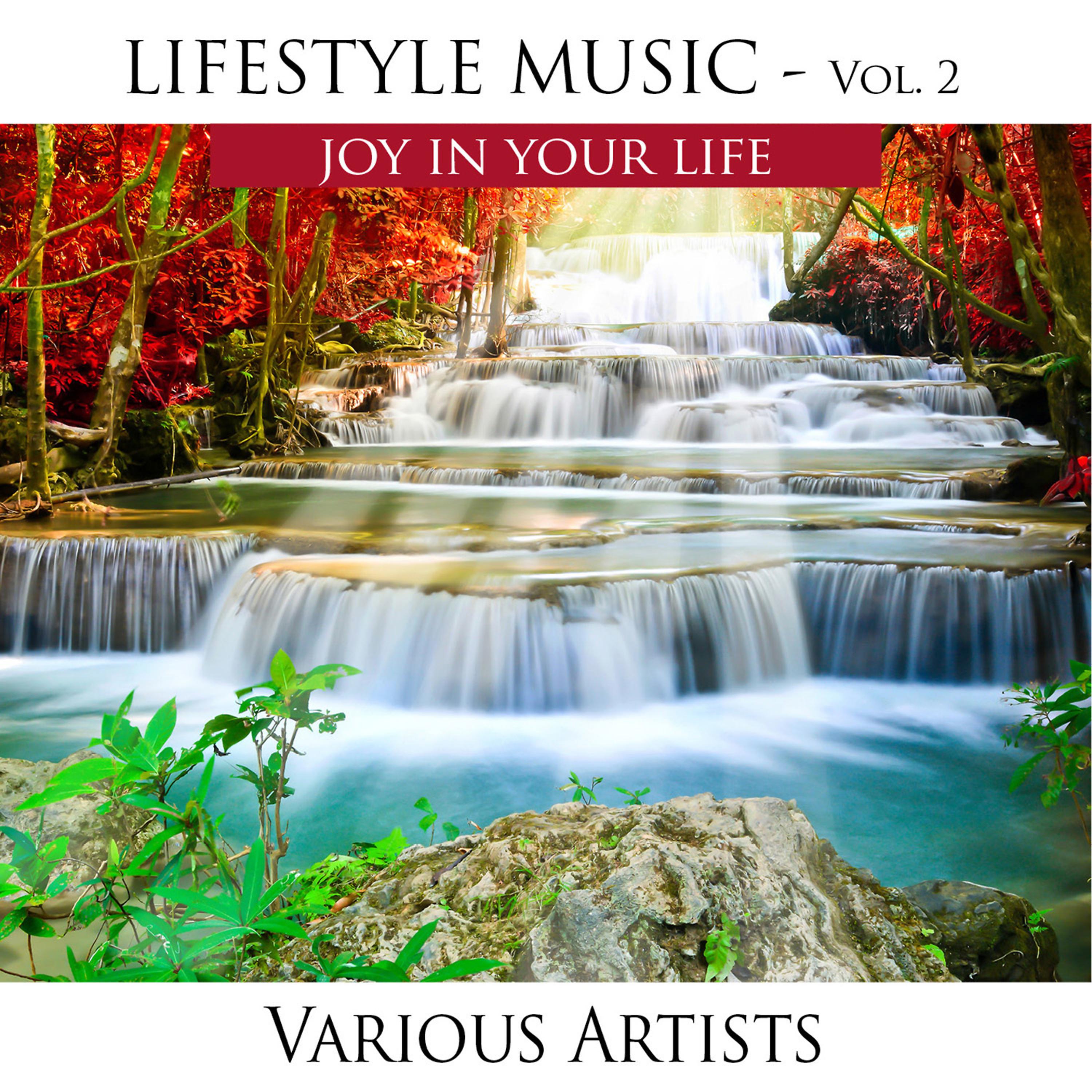Постер альбома Lifestyle Music, Vol. 2