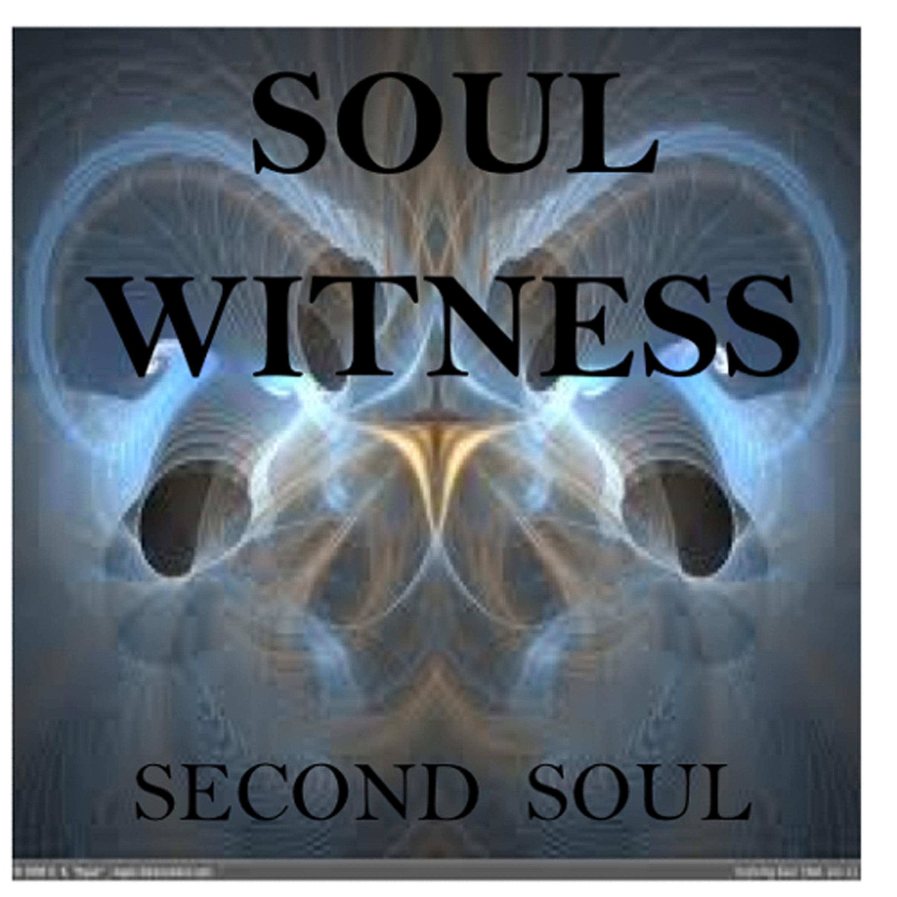 Постер альбома Soul Witness