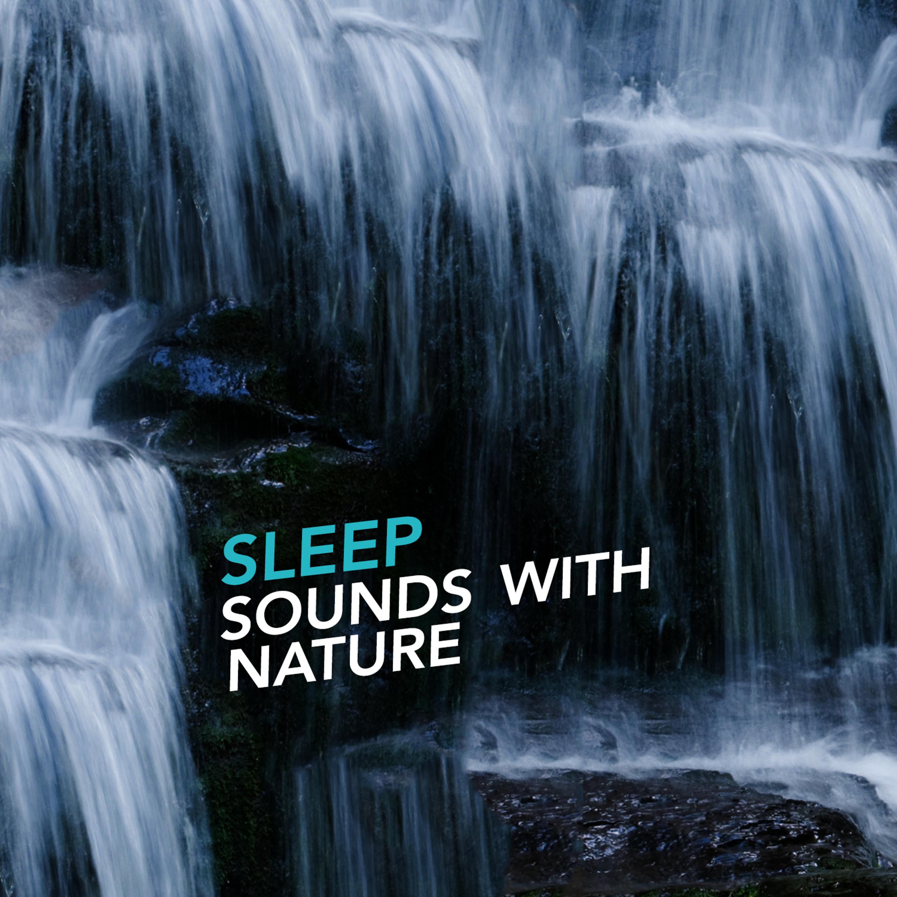 Постер альбома Sleep Sounds with Nature