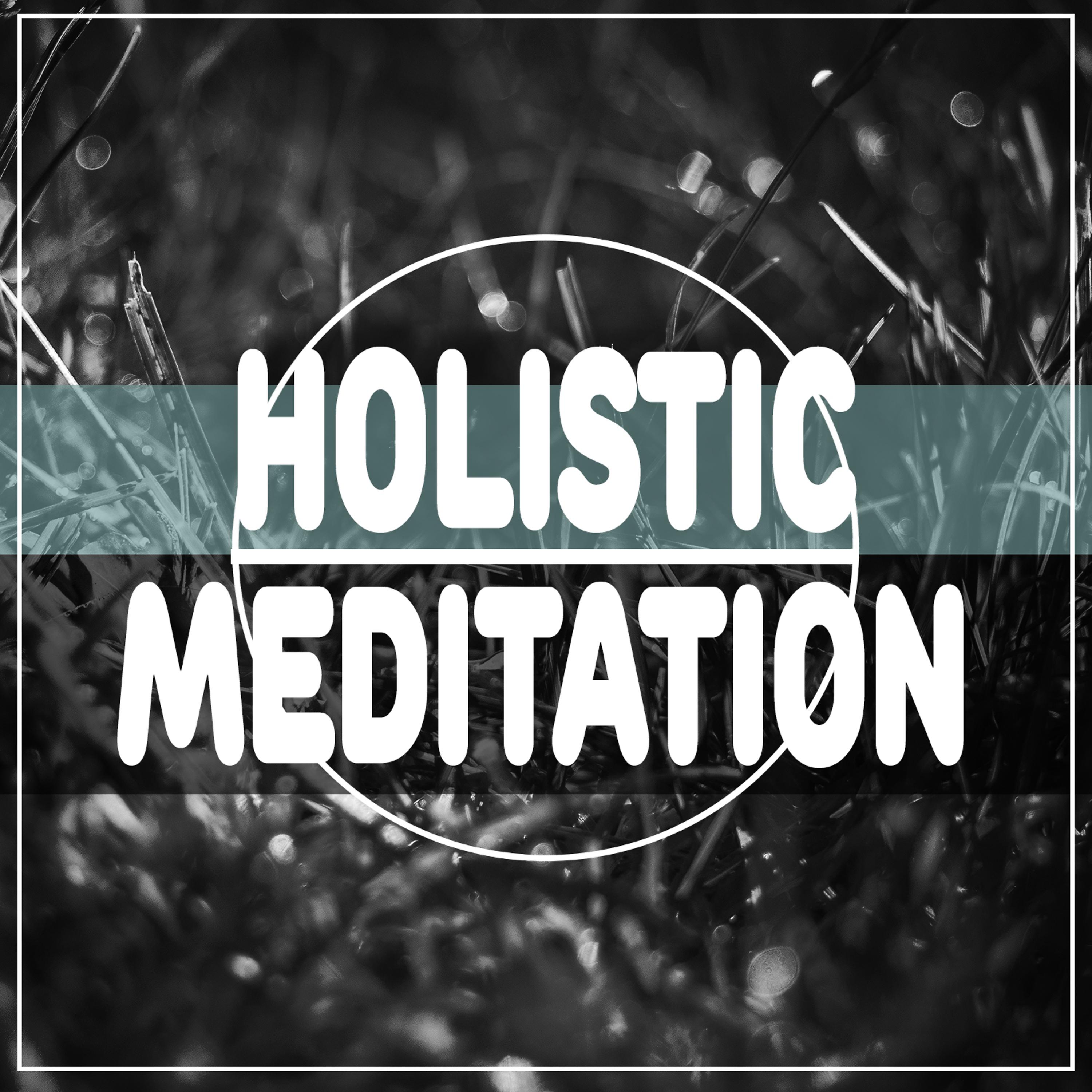 Постер альбома Holistic Meditation