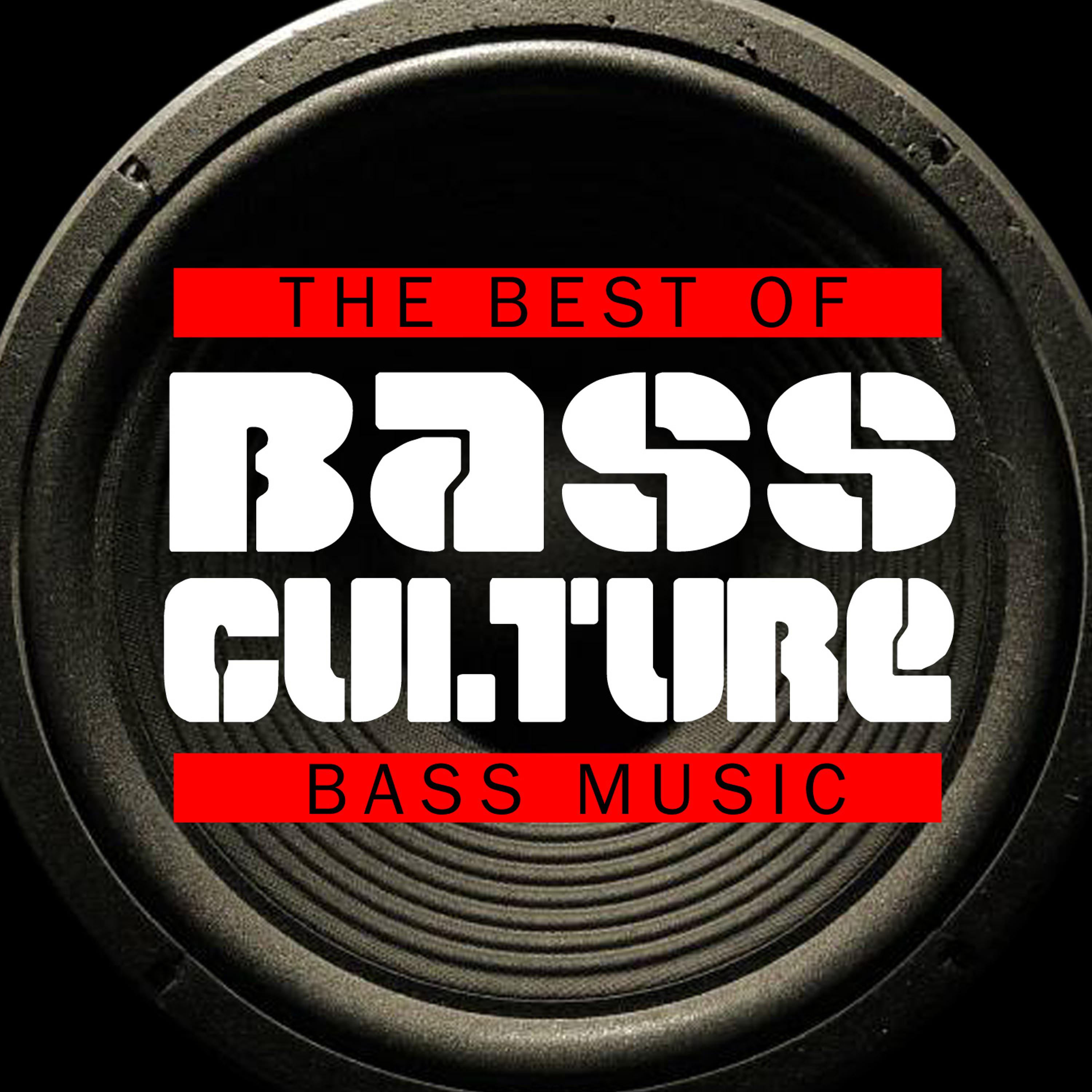 Постер альбома Bass Culture - The Best of Bass Music